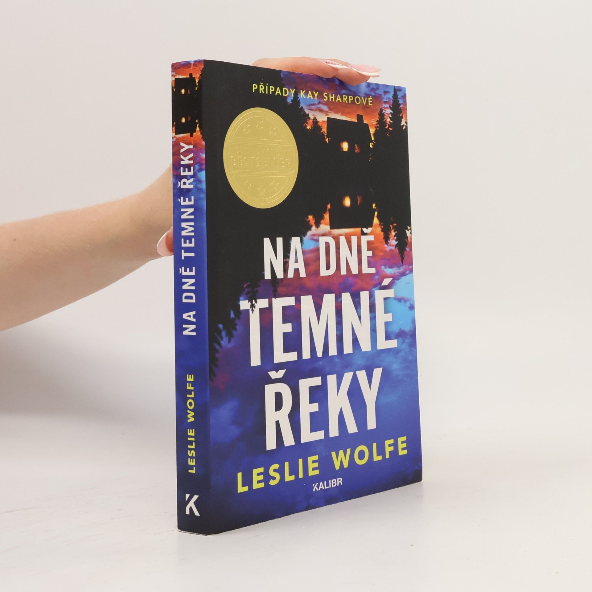 Leslie Wolfe Na dně Temné řeky