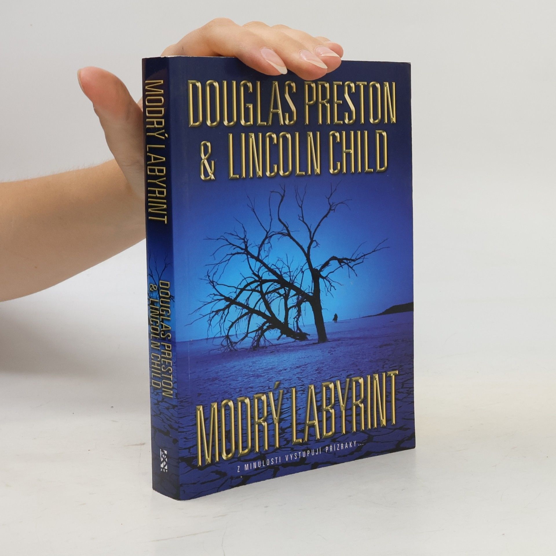 Douglas Preston Modrý labyrint