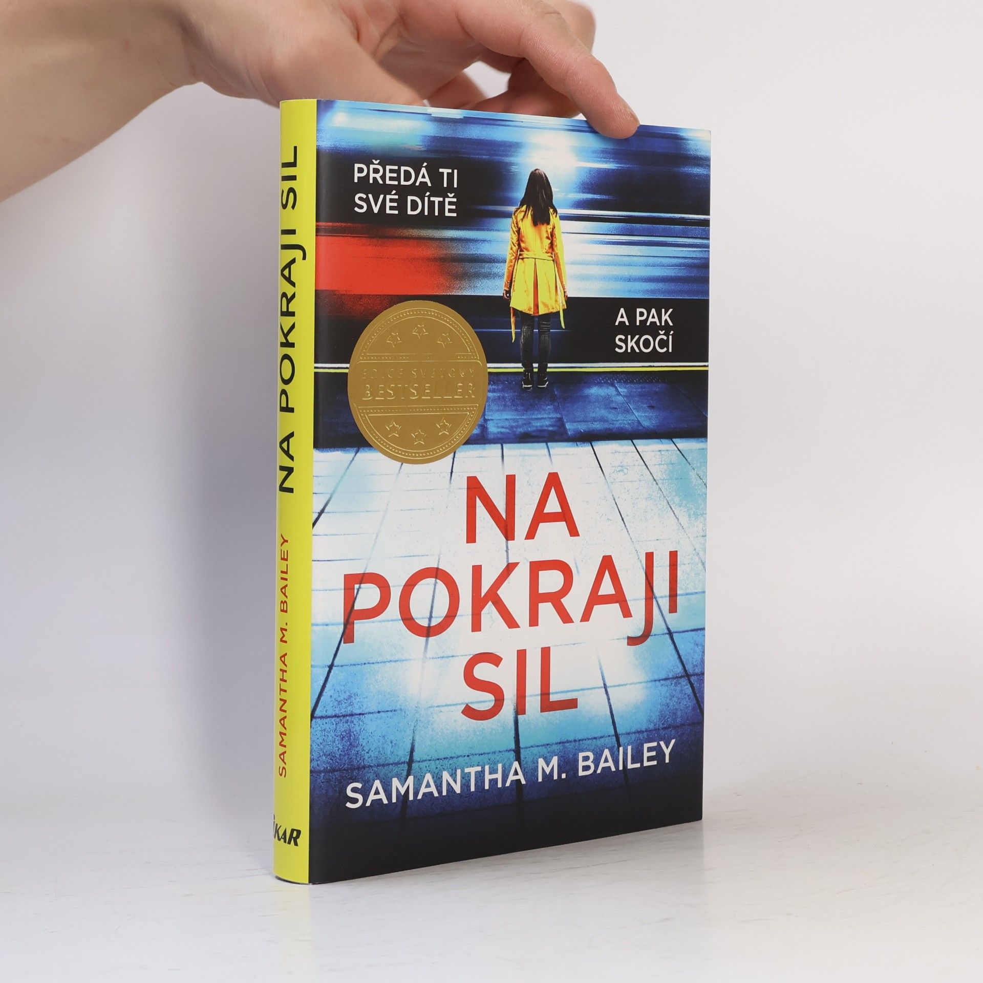 Samantha M. Bailey Na pokraji sil