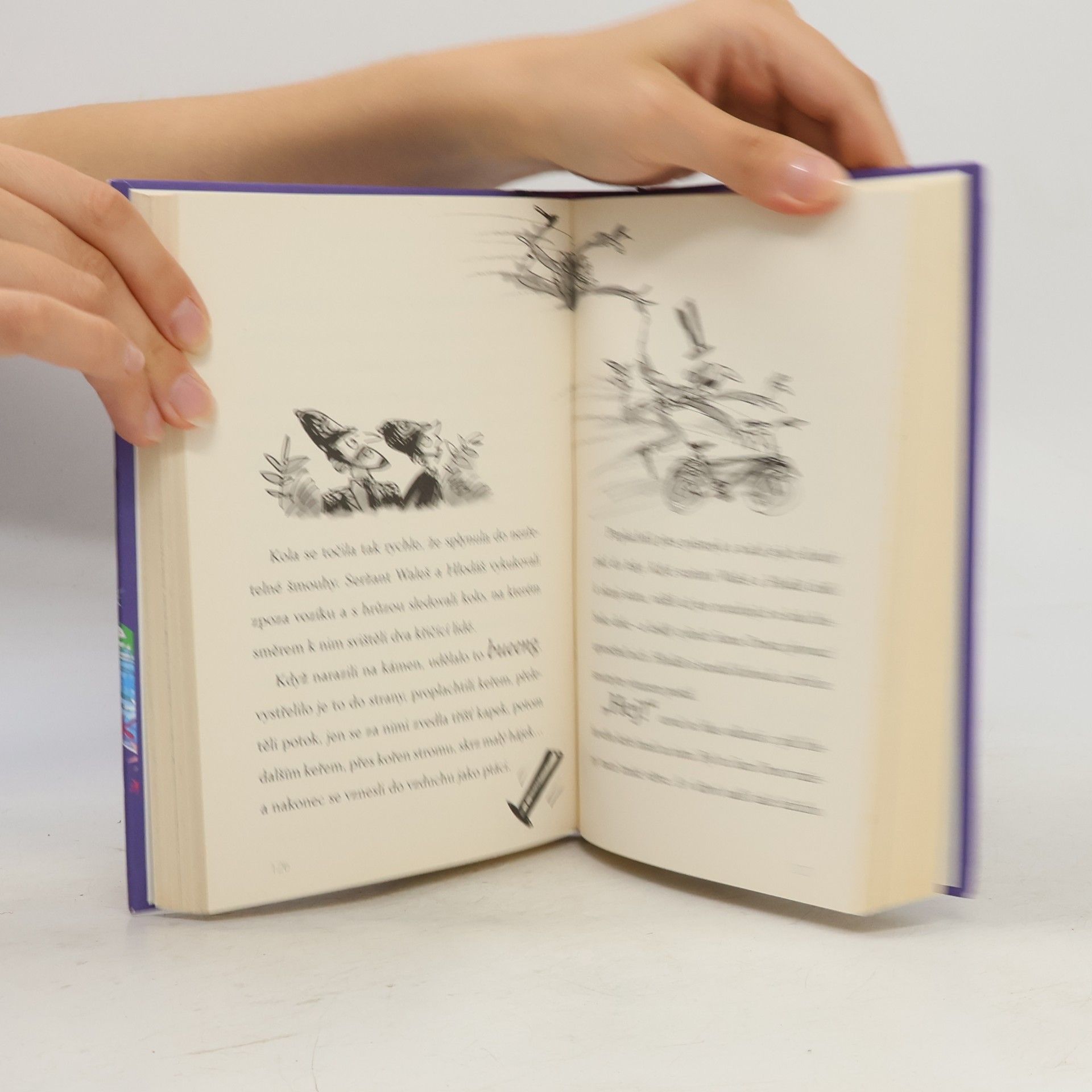 Terry Pratchett Ježibabin vysavač a jiné příběhy