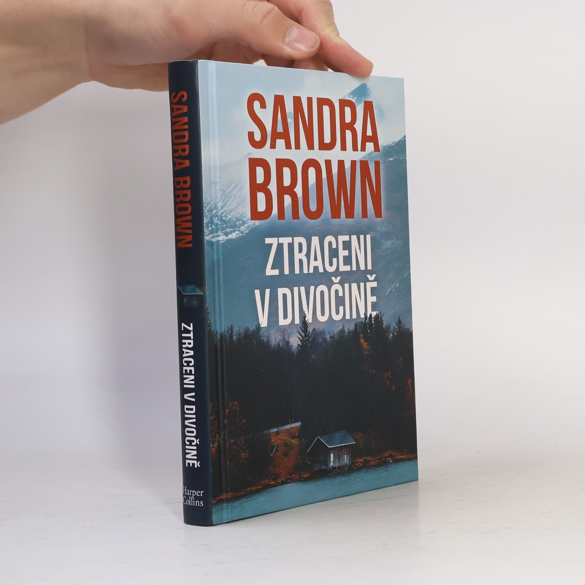 Sandra Brown Ztraceni v divočině