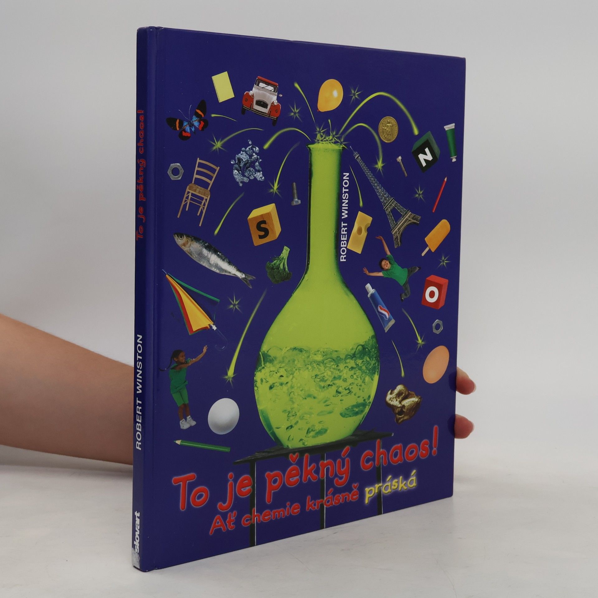 Robert Winston To je pěkný chaos!