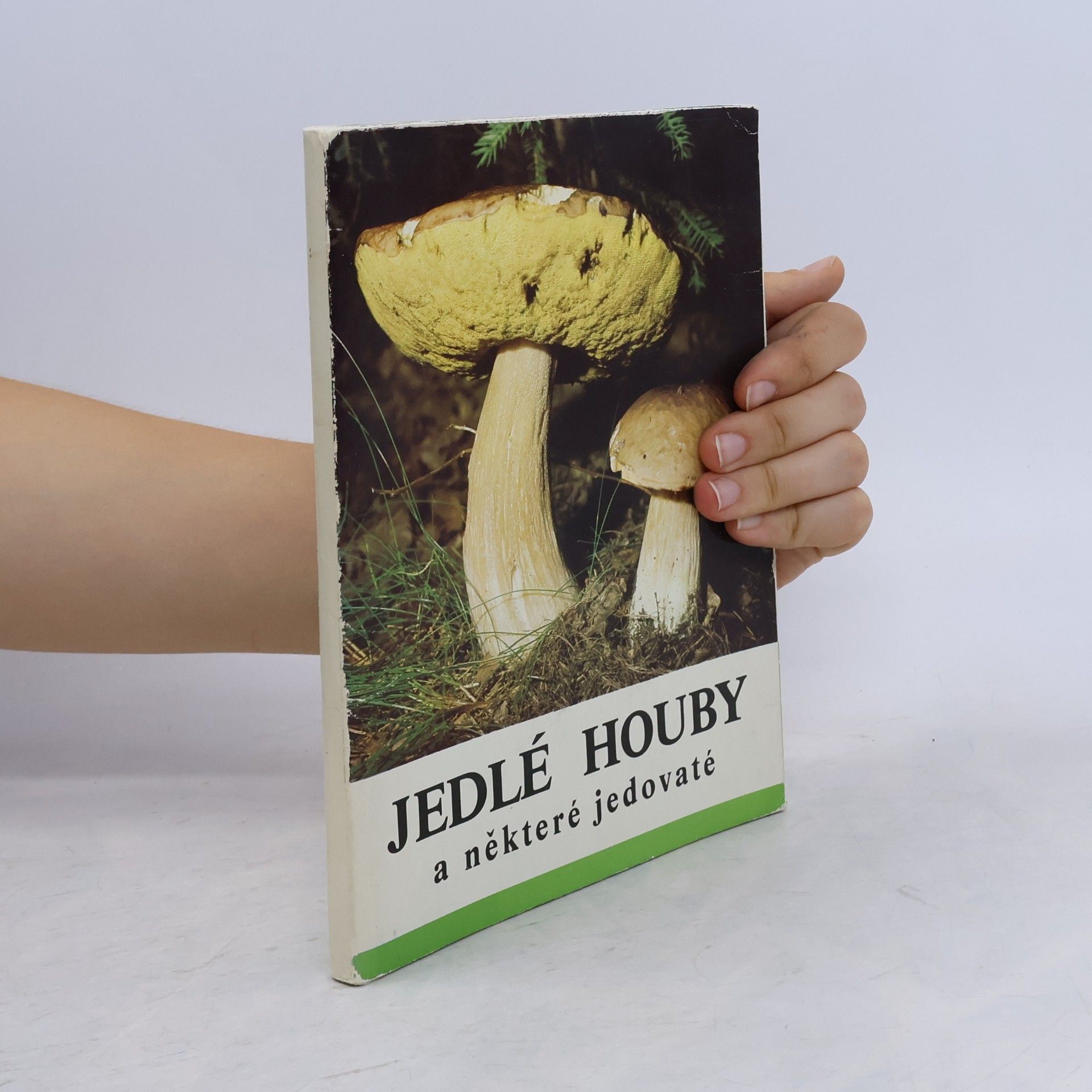Jedlé houby a některé jedovaté