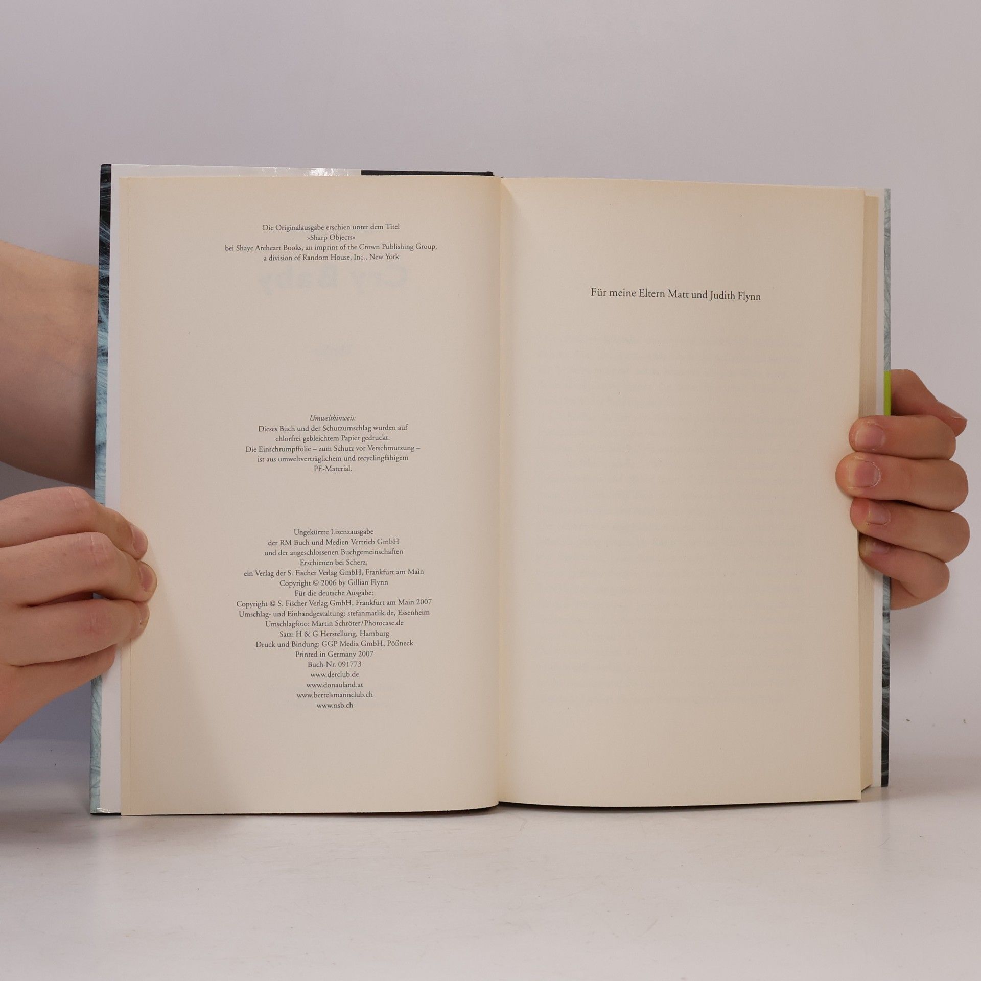 Gillian Flynn Cry Baby