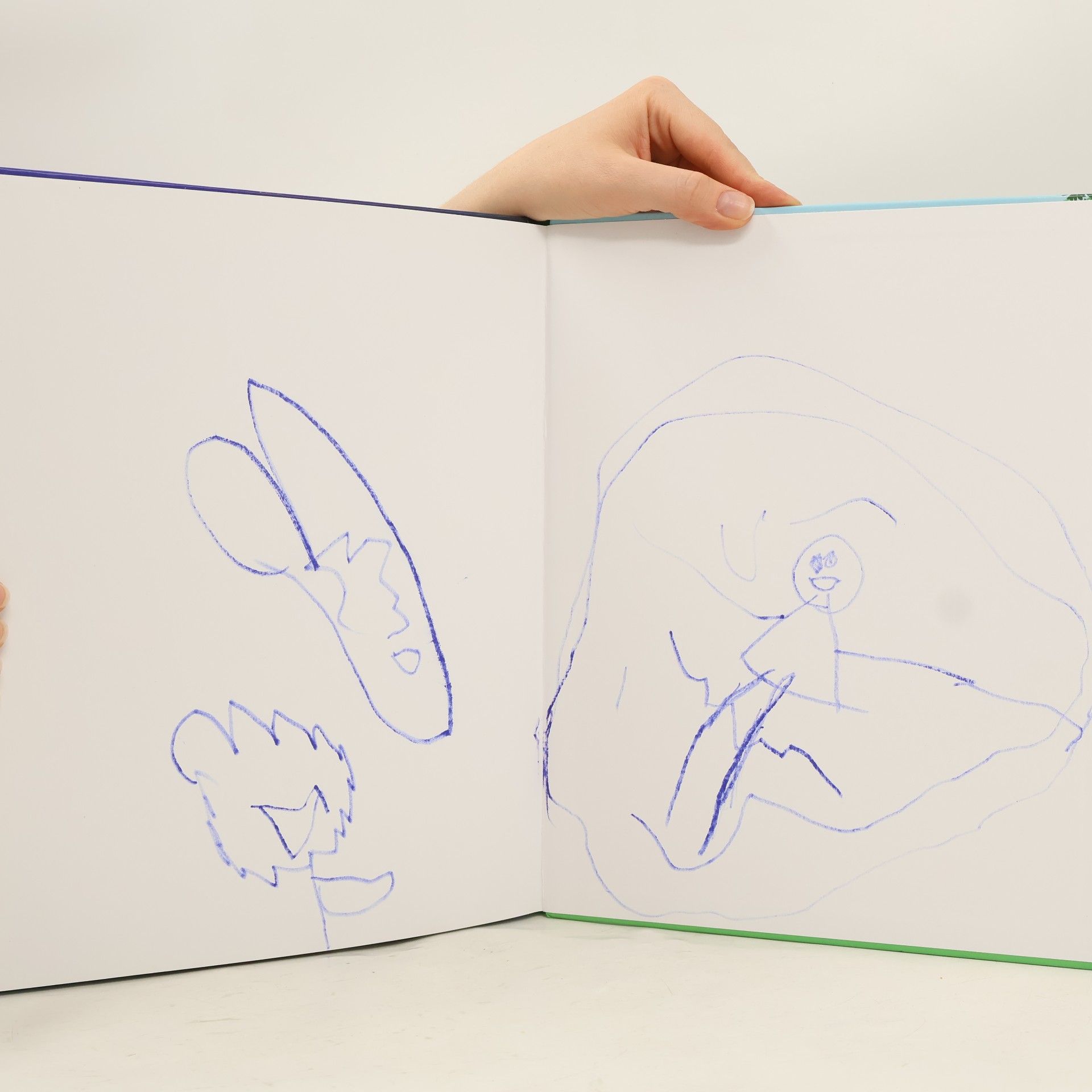 Tapani Bagge Angry Birds. Záhada zeleného ptáka