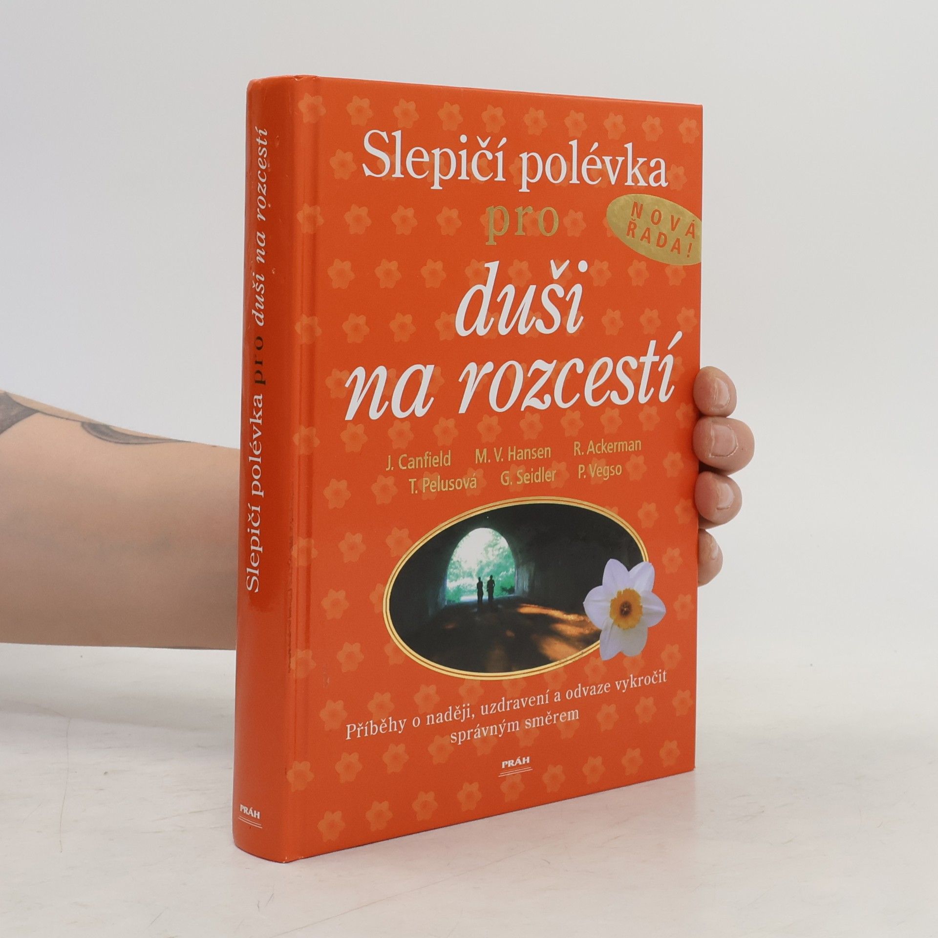 Jack Canfield Slepičí polévka pro duši na rozcestí
