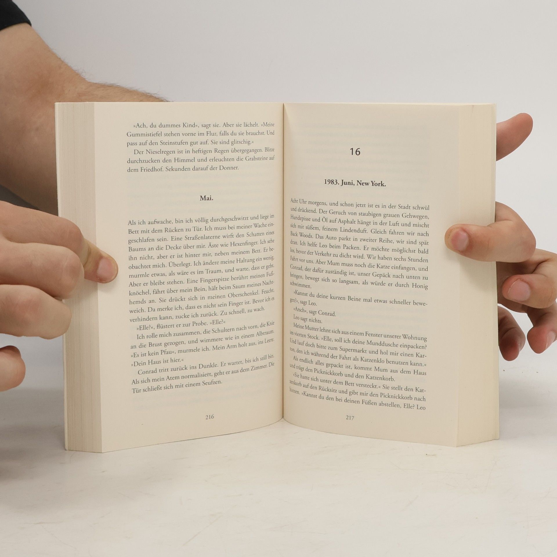Miranda Cowley Heller Der Papierpalast
