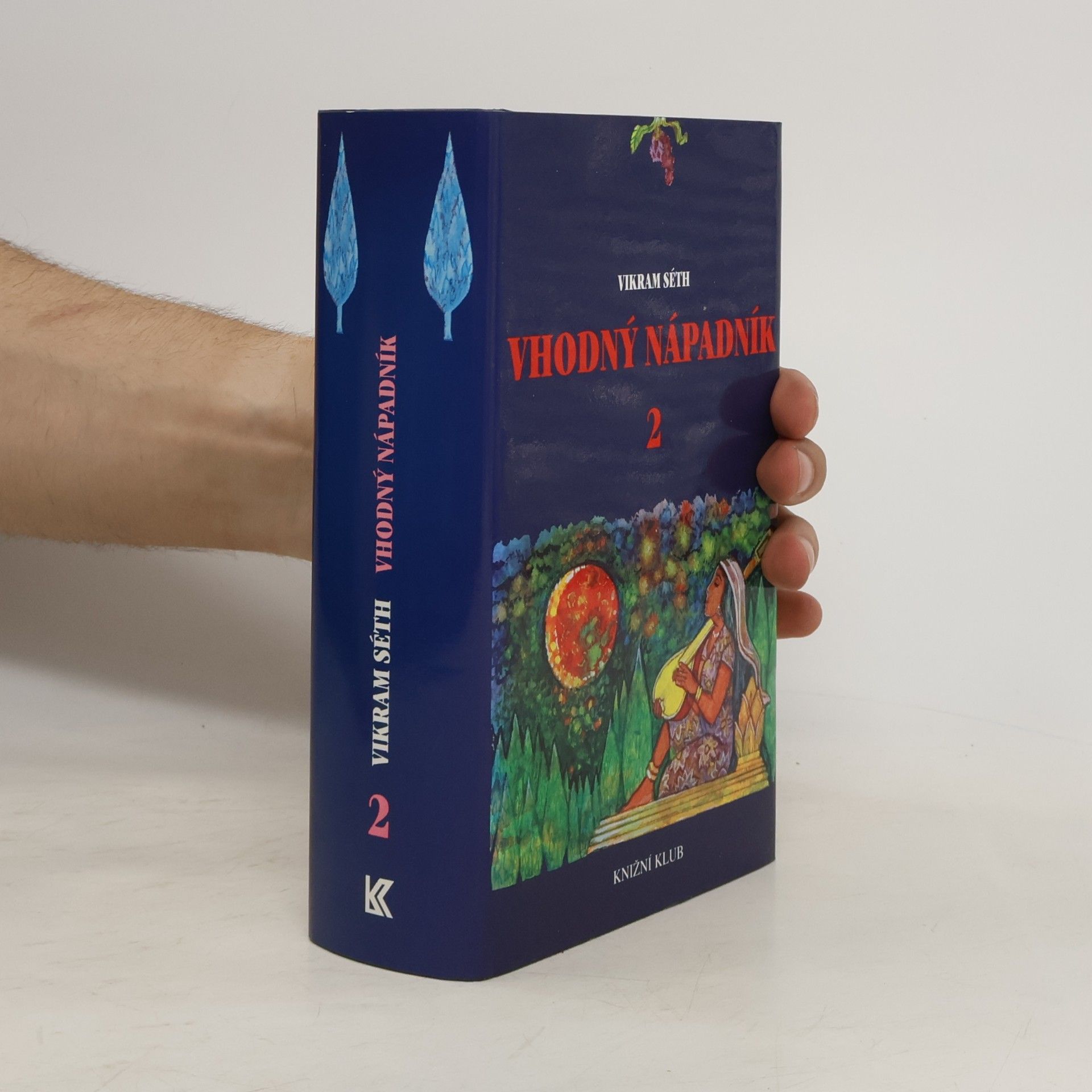 Vikram Seth Vhodný nápadník 2