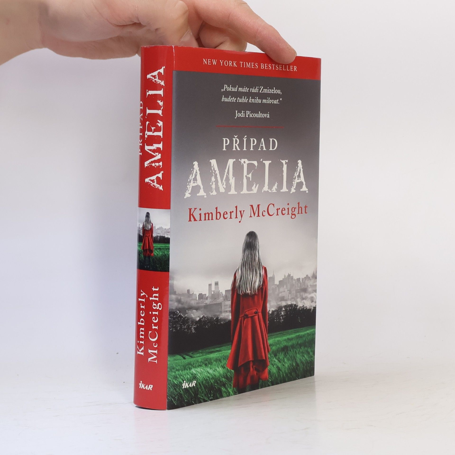 Kimberly McCreight Případ Amelia