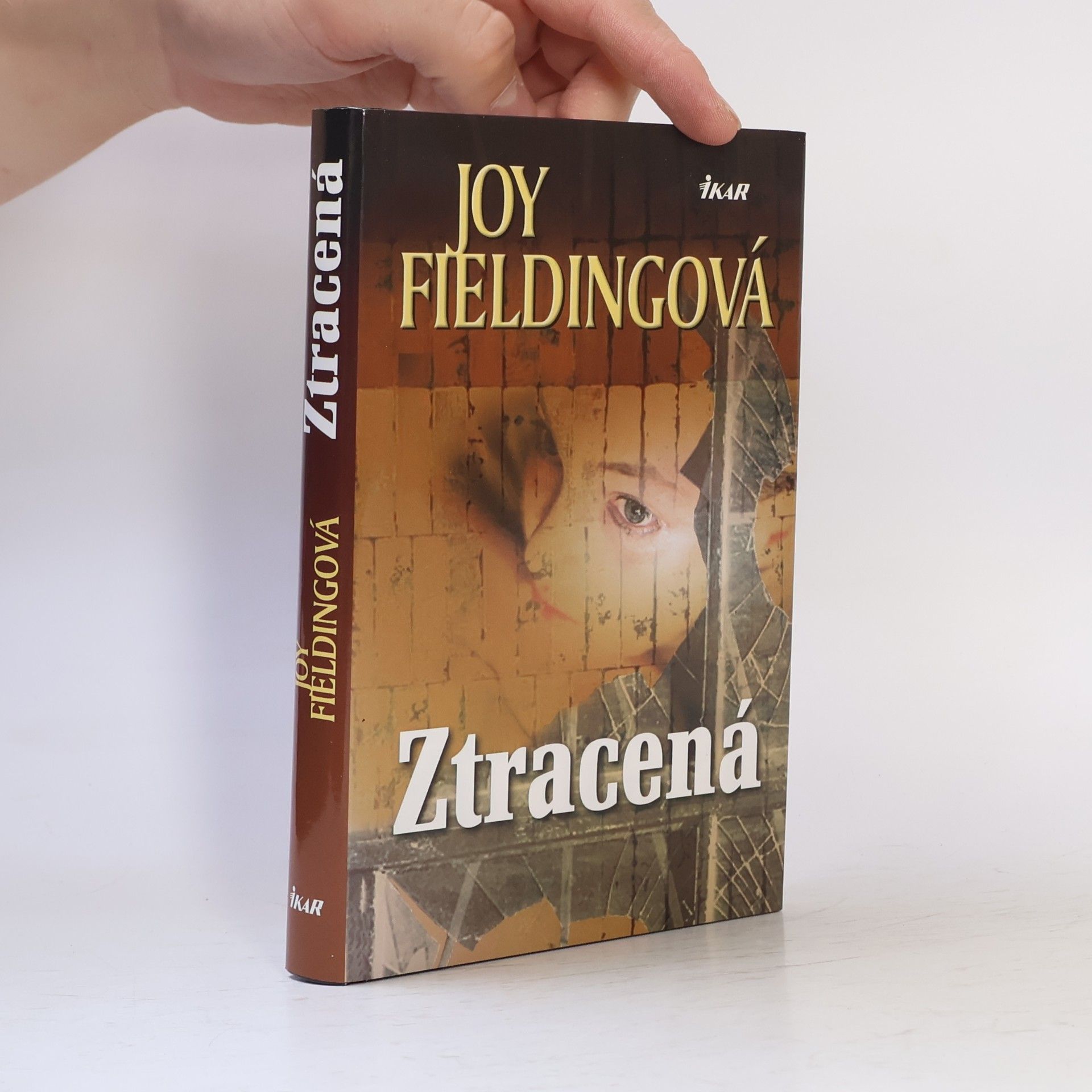 Joy Fielding Ztracená