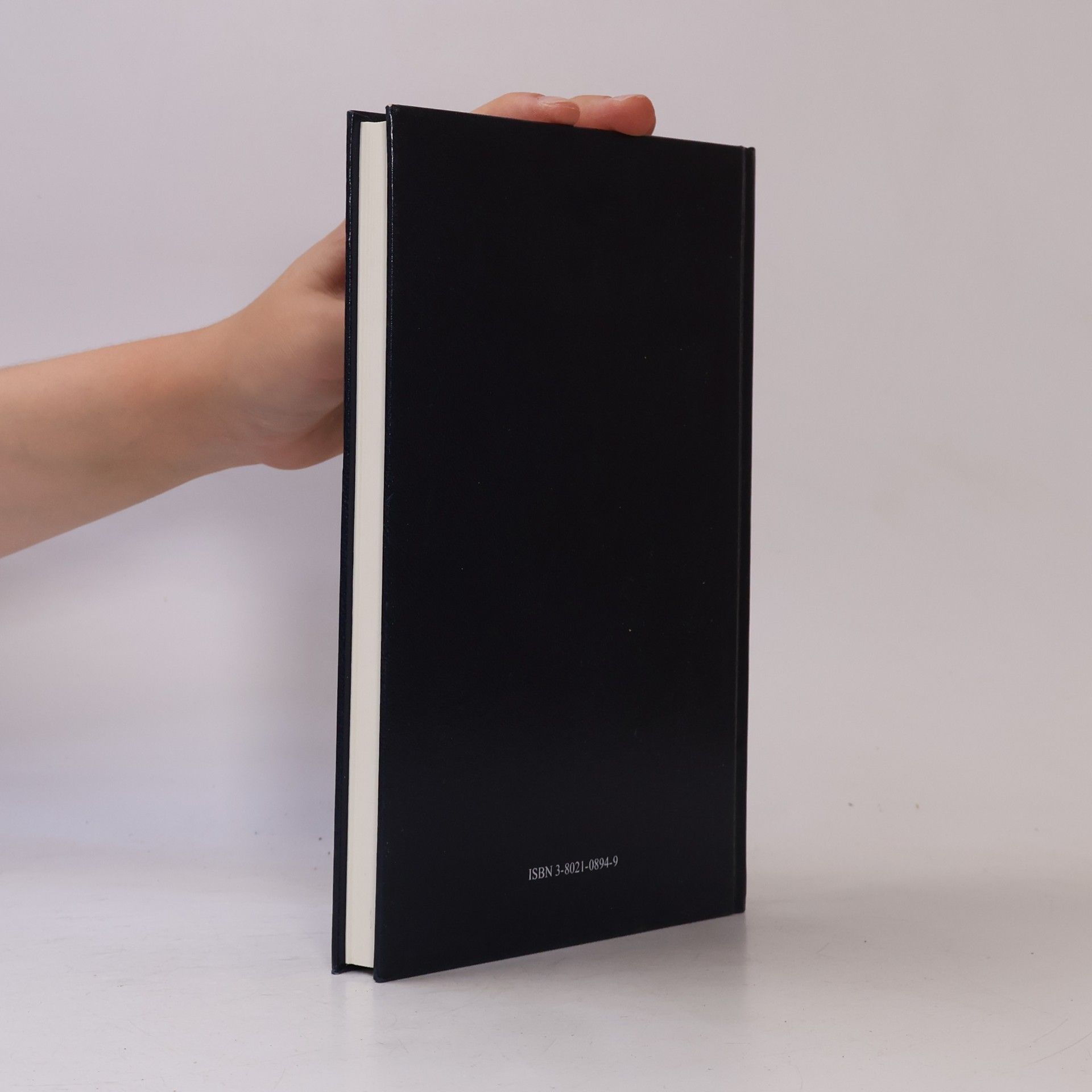 Sebastian Hakelmacher Das alternative Wirtschaftsprüfer-Handbuch