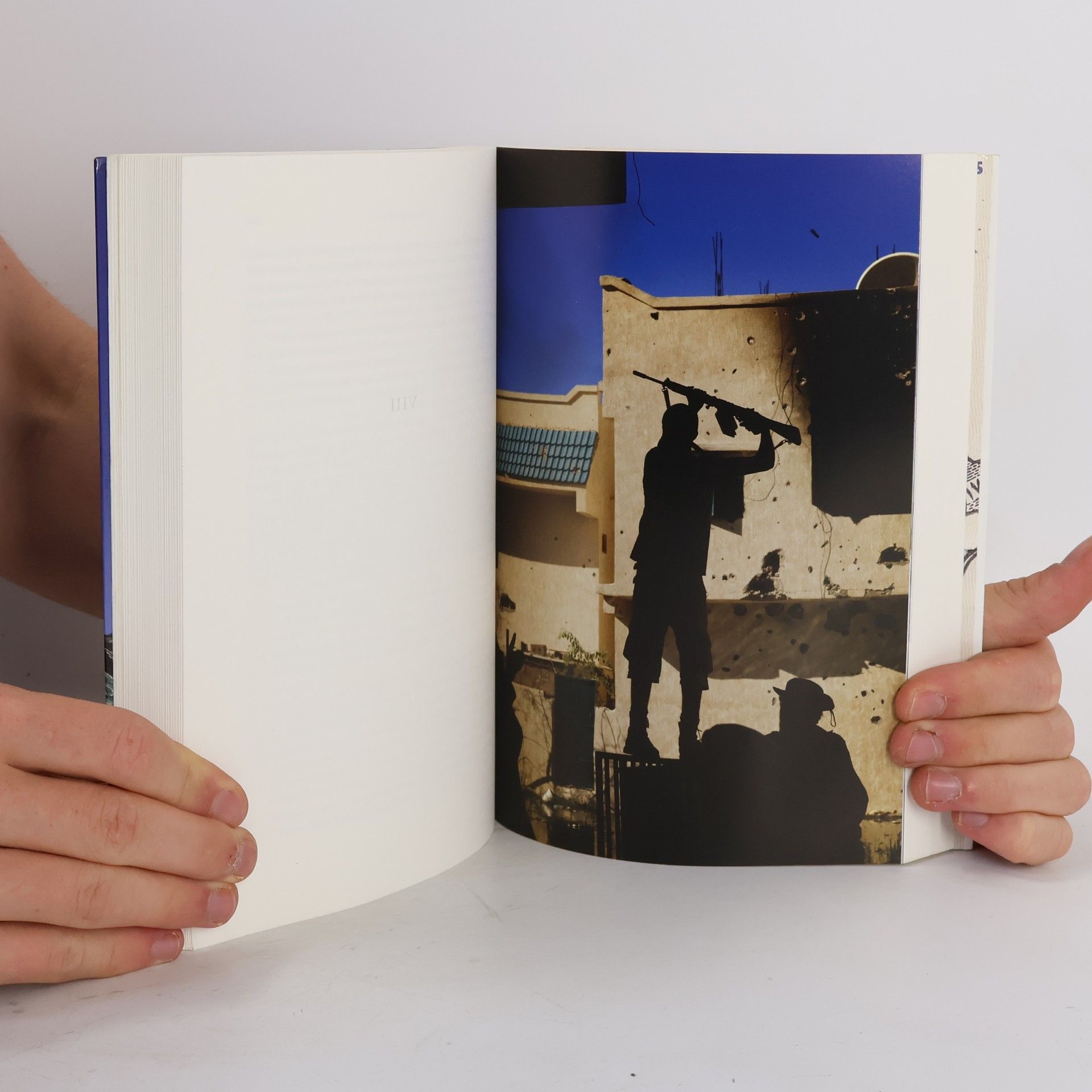 Gilles Kepel Témoins.Gallimard: Passion arabe