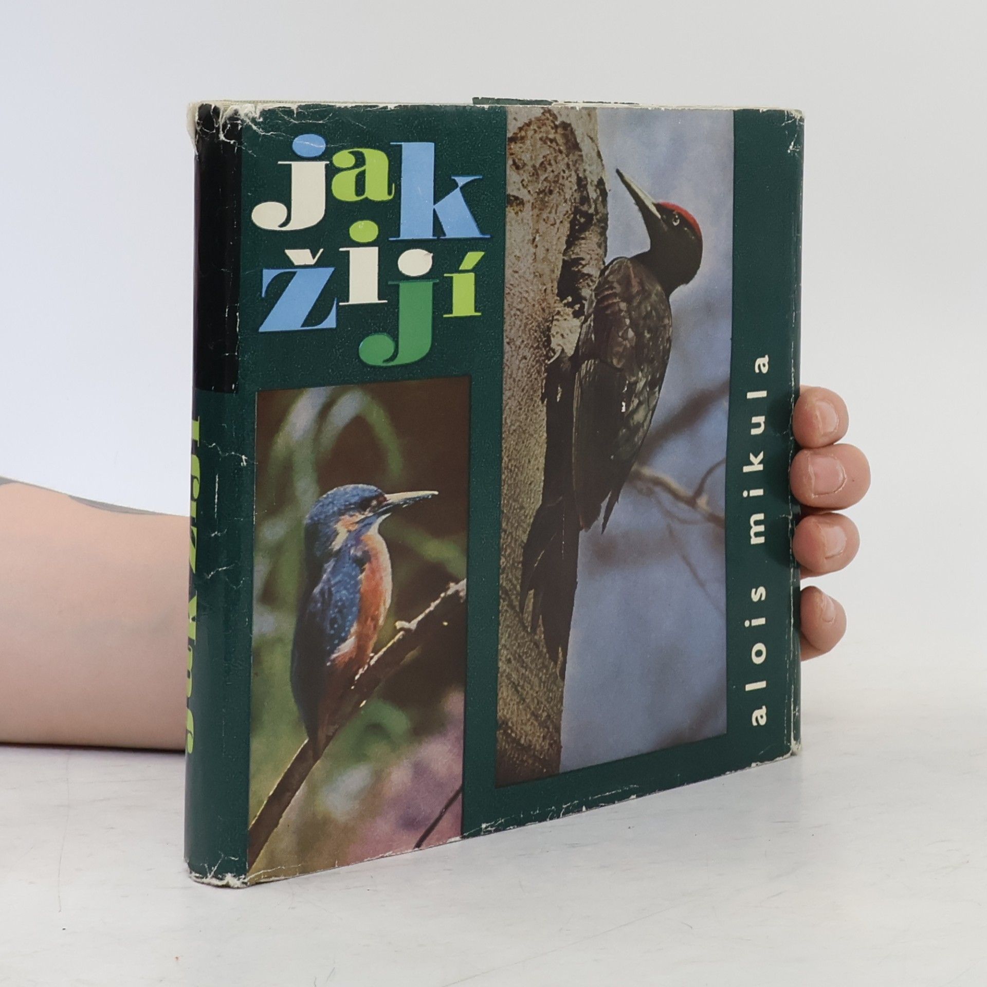 Alois Mikula Jak žijí