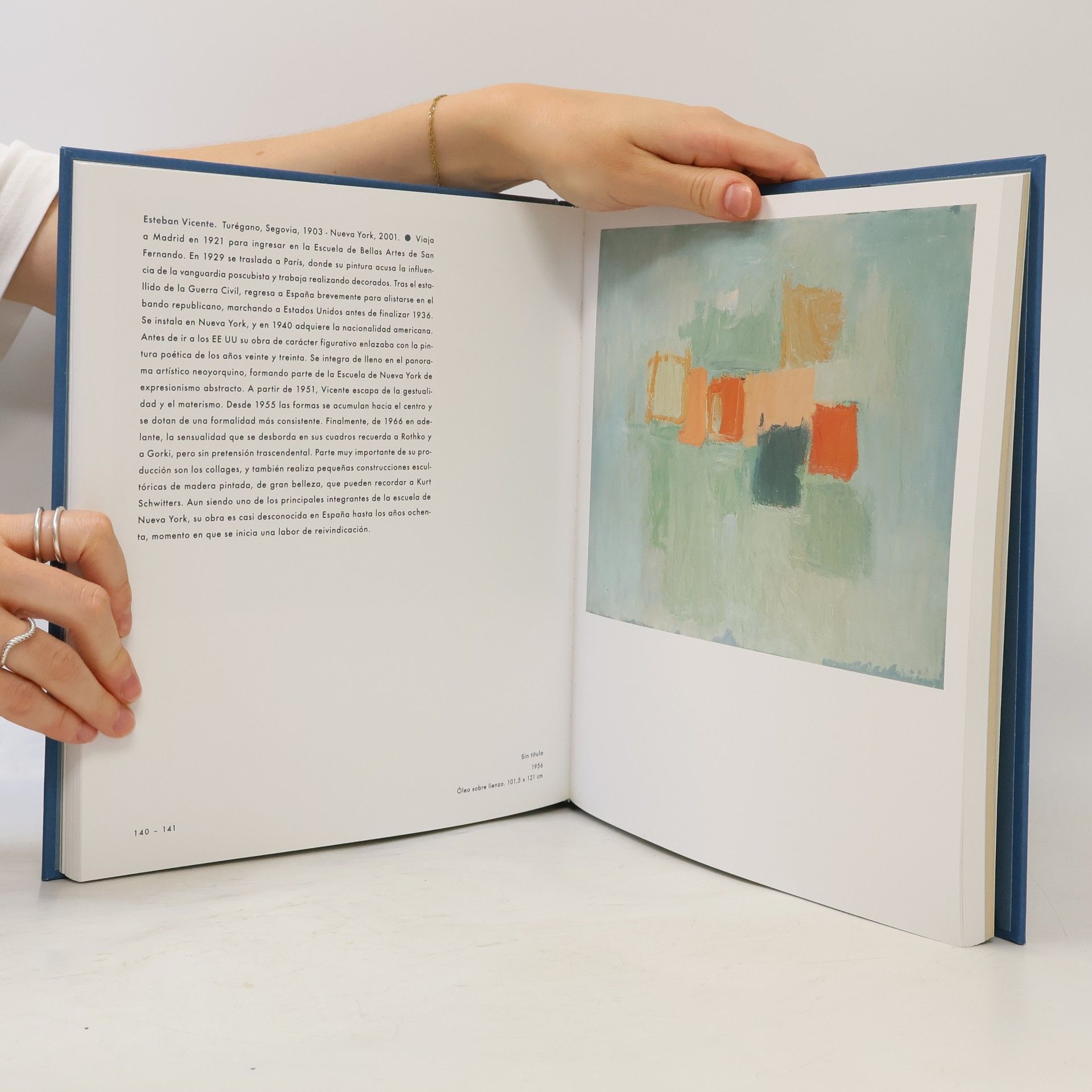 Collectif d'auteurs Colección BBVA. Una nueva mirada