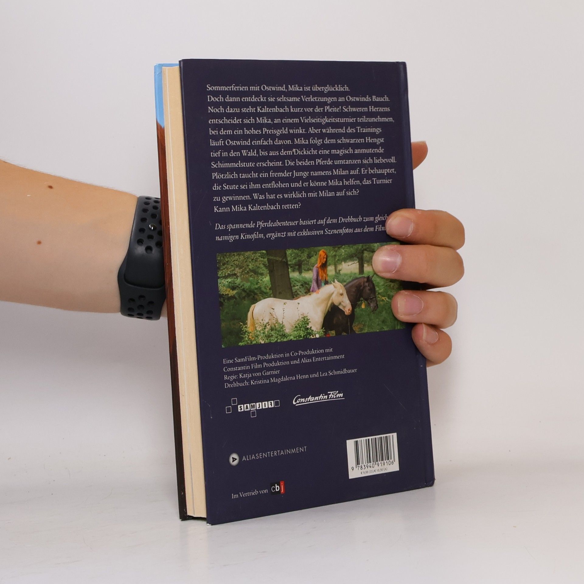 Kristina Magdalena Henn Ostwind 2 - Das Buch zum Film