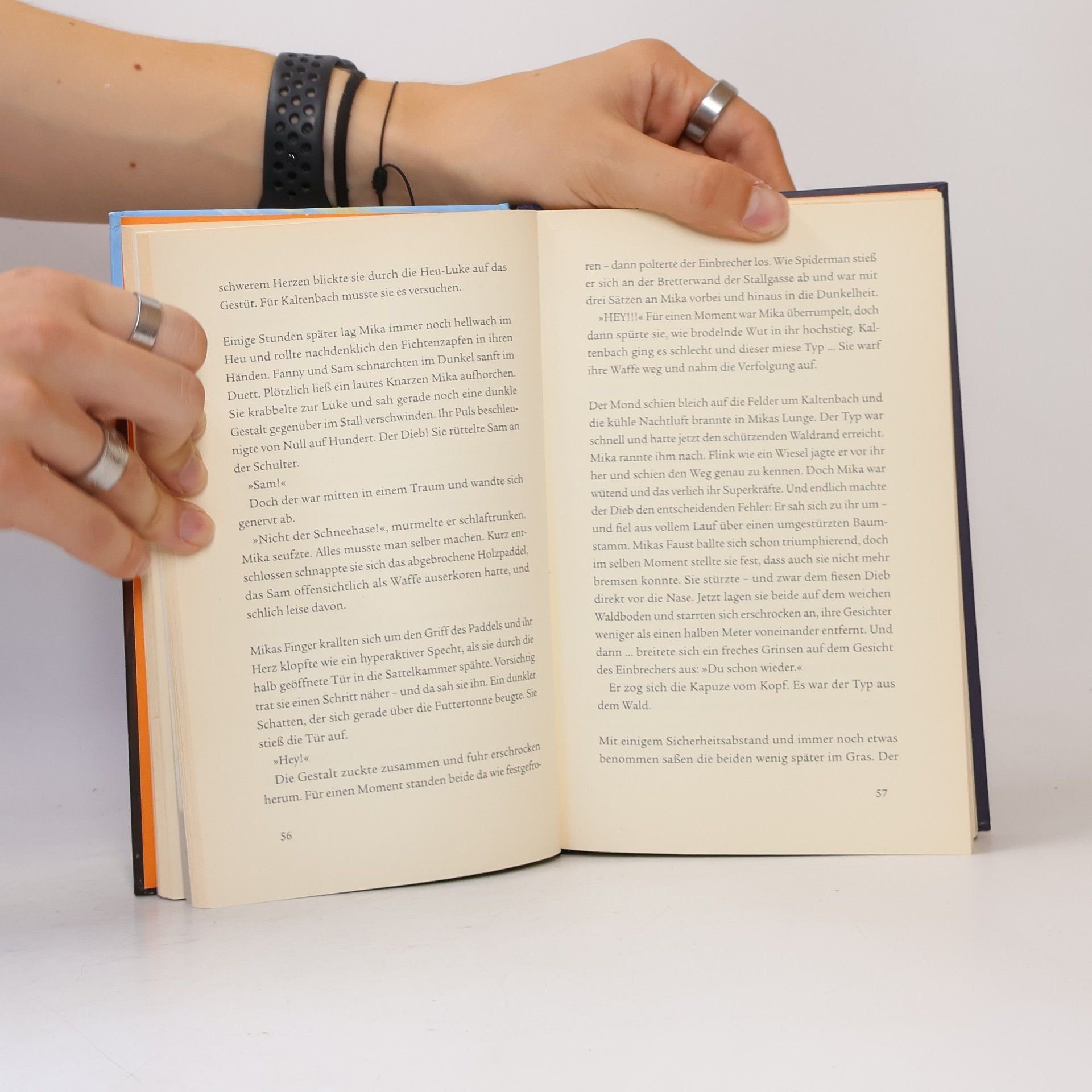 Kristina Magdalena Henn Ostwind 2 - Das Buch zum Film