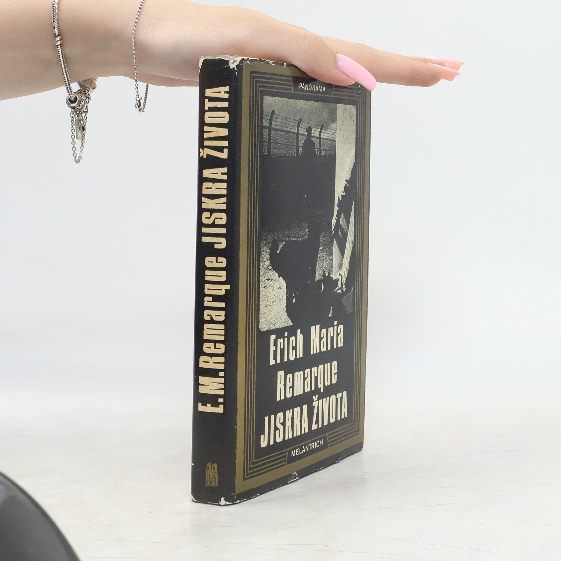 Erich Maria Remarque Jiskra života