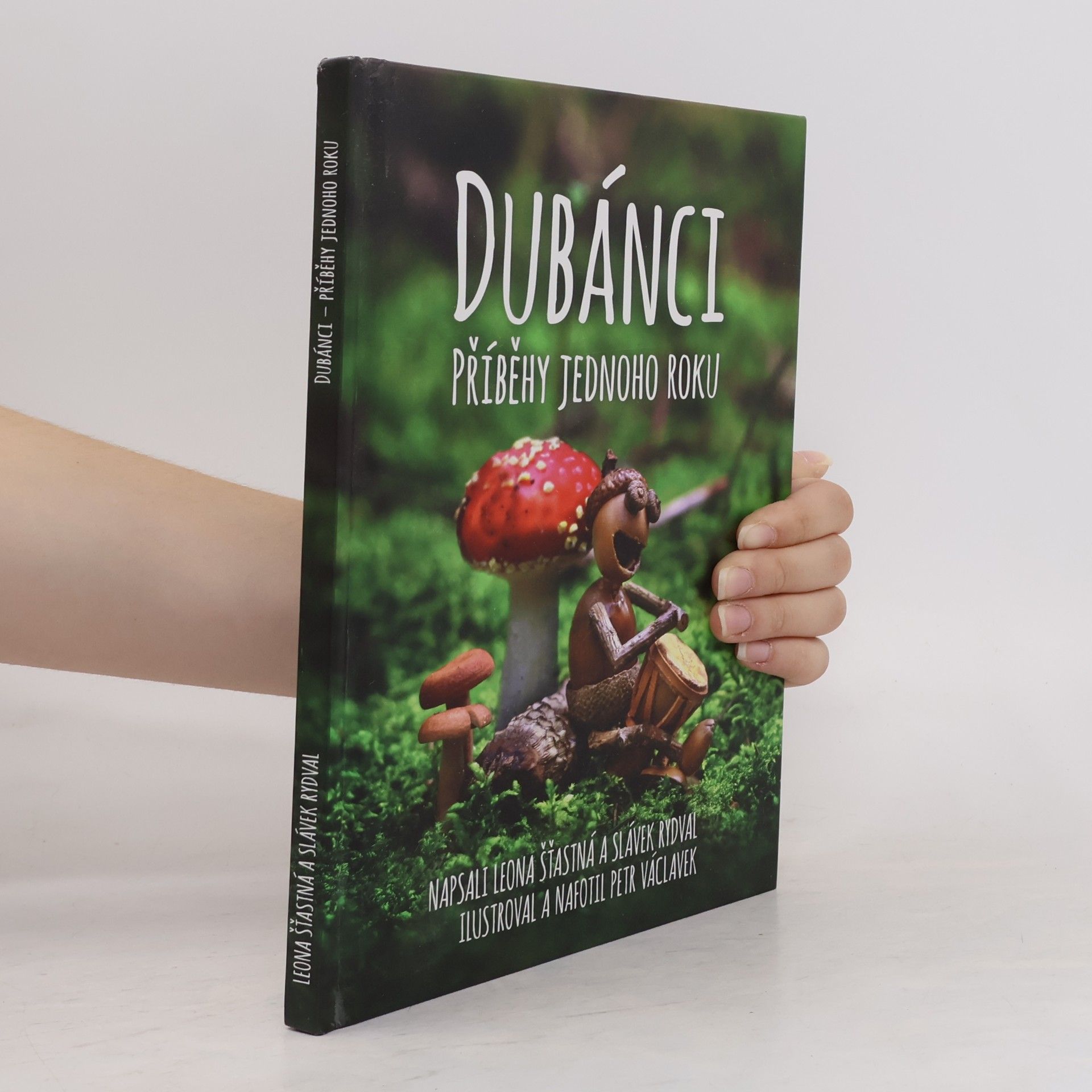 Slávek Rydval Dubánci: Příběhy jednoho roku