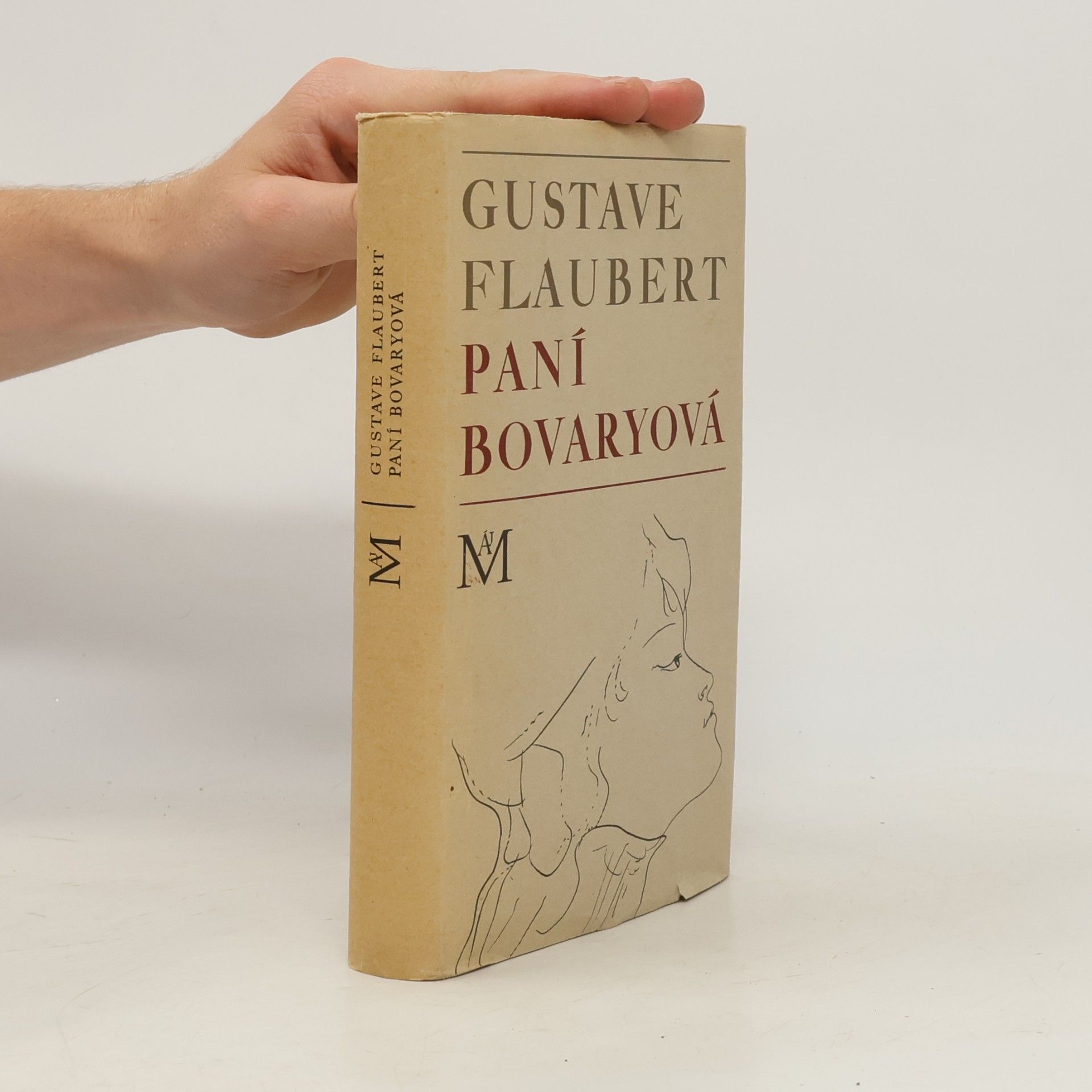 Paní Bovaryová