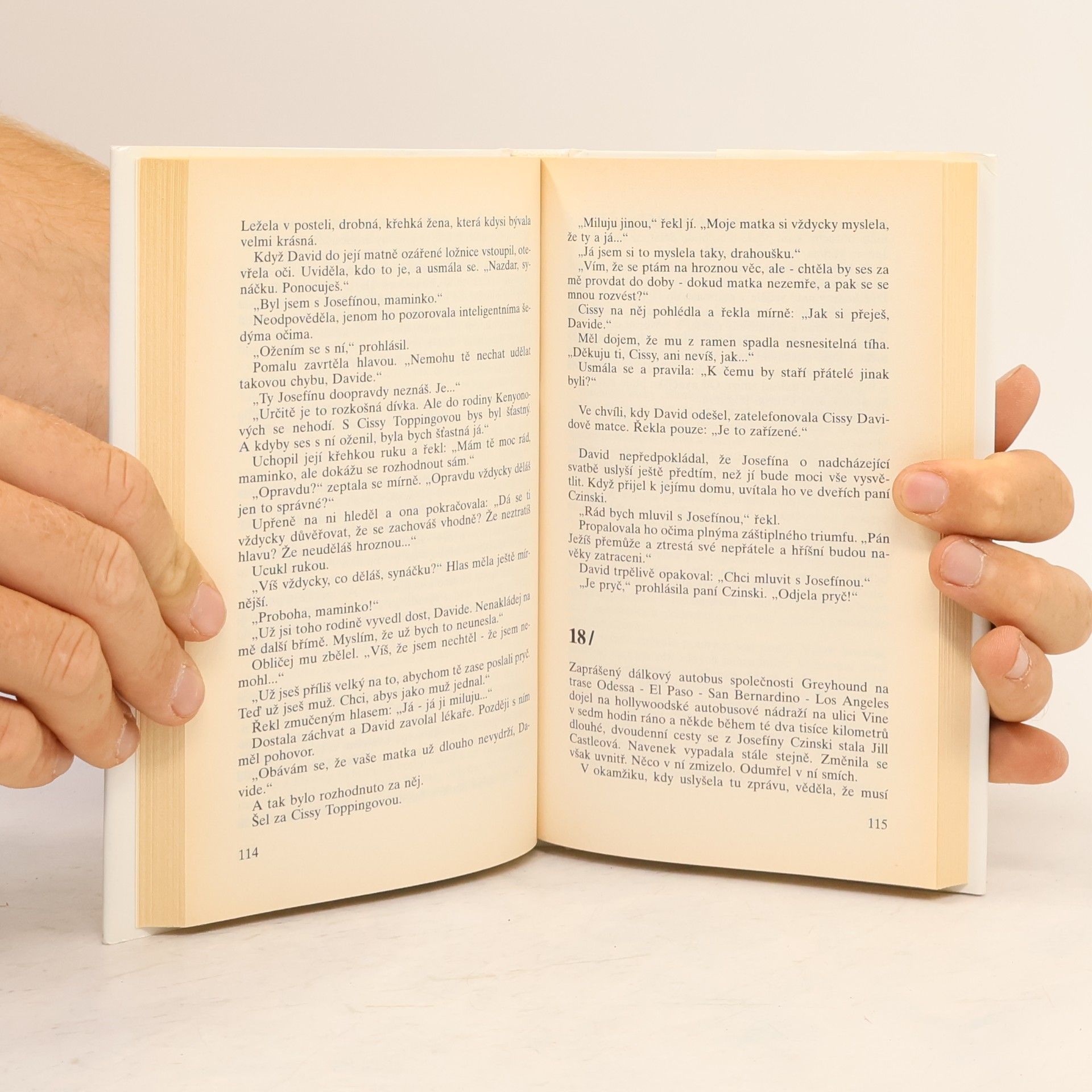 Sidney Sheldon Cizinec v zrcadle