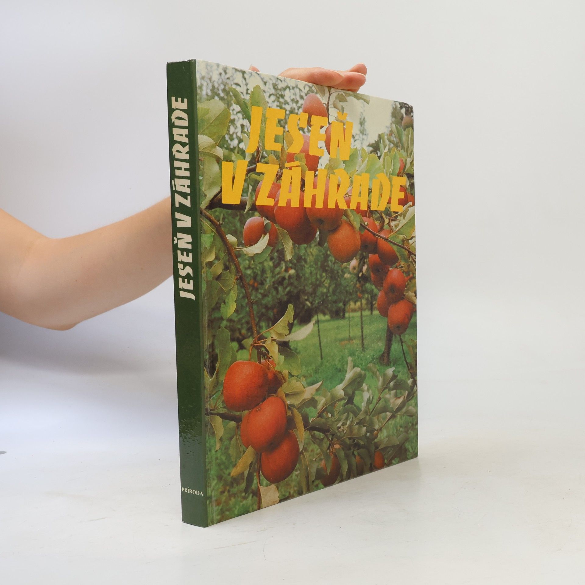Kolektiv autorů Jeseň v záhrade