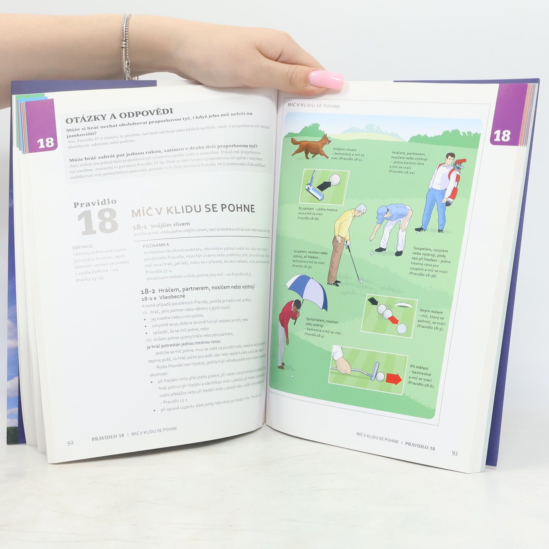 Kolektiv autorů Ilustrovaná pravidla golfu