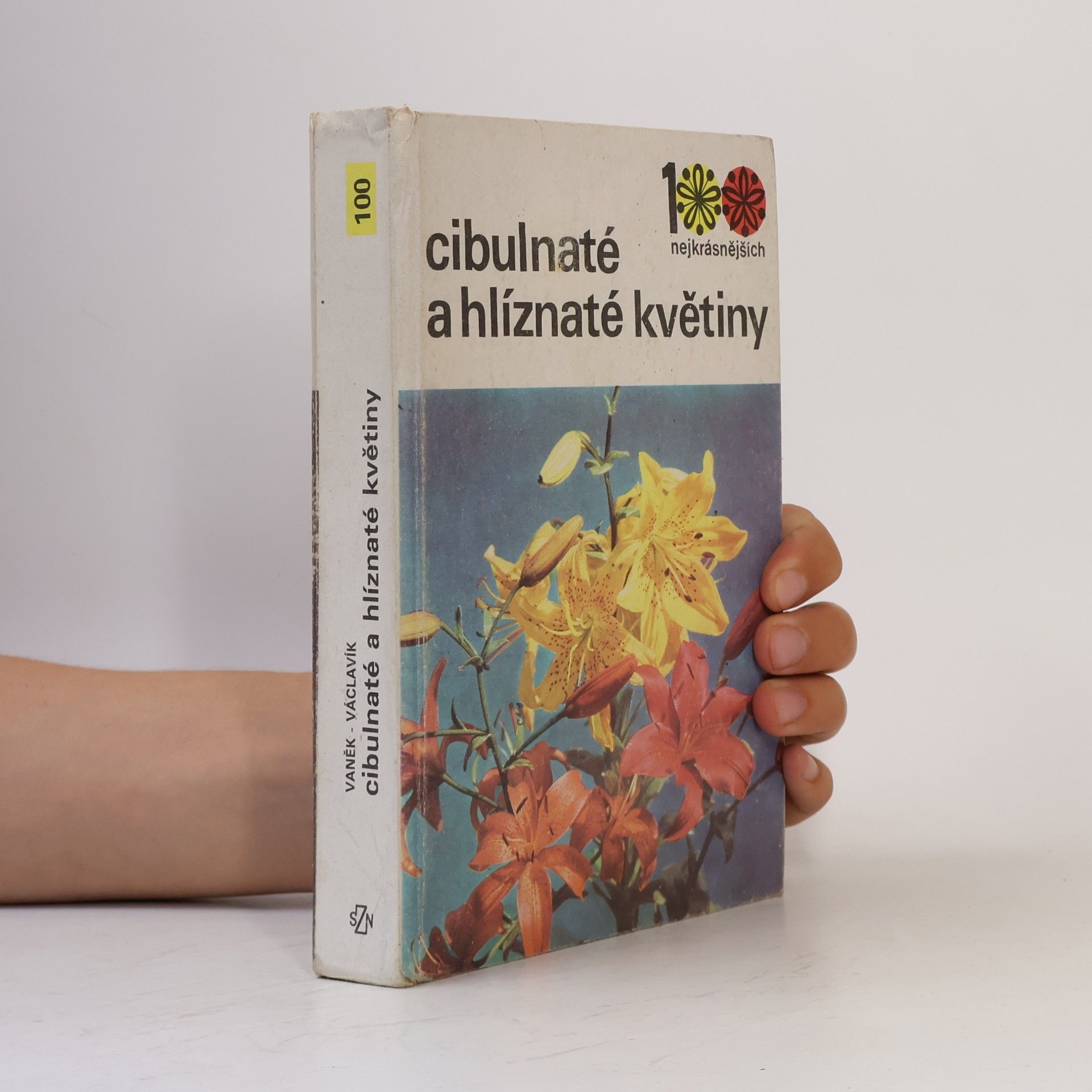 Cibulnaté a hlíznaté květiny