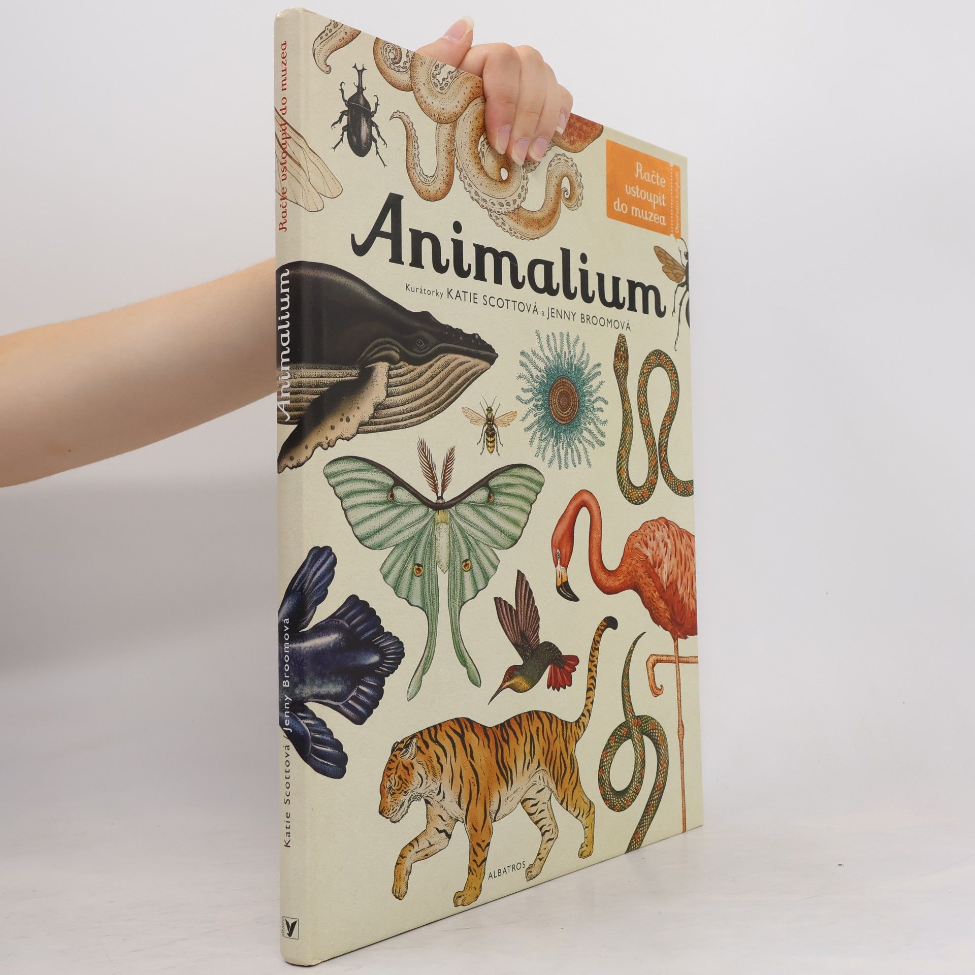 Animalium