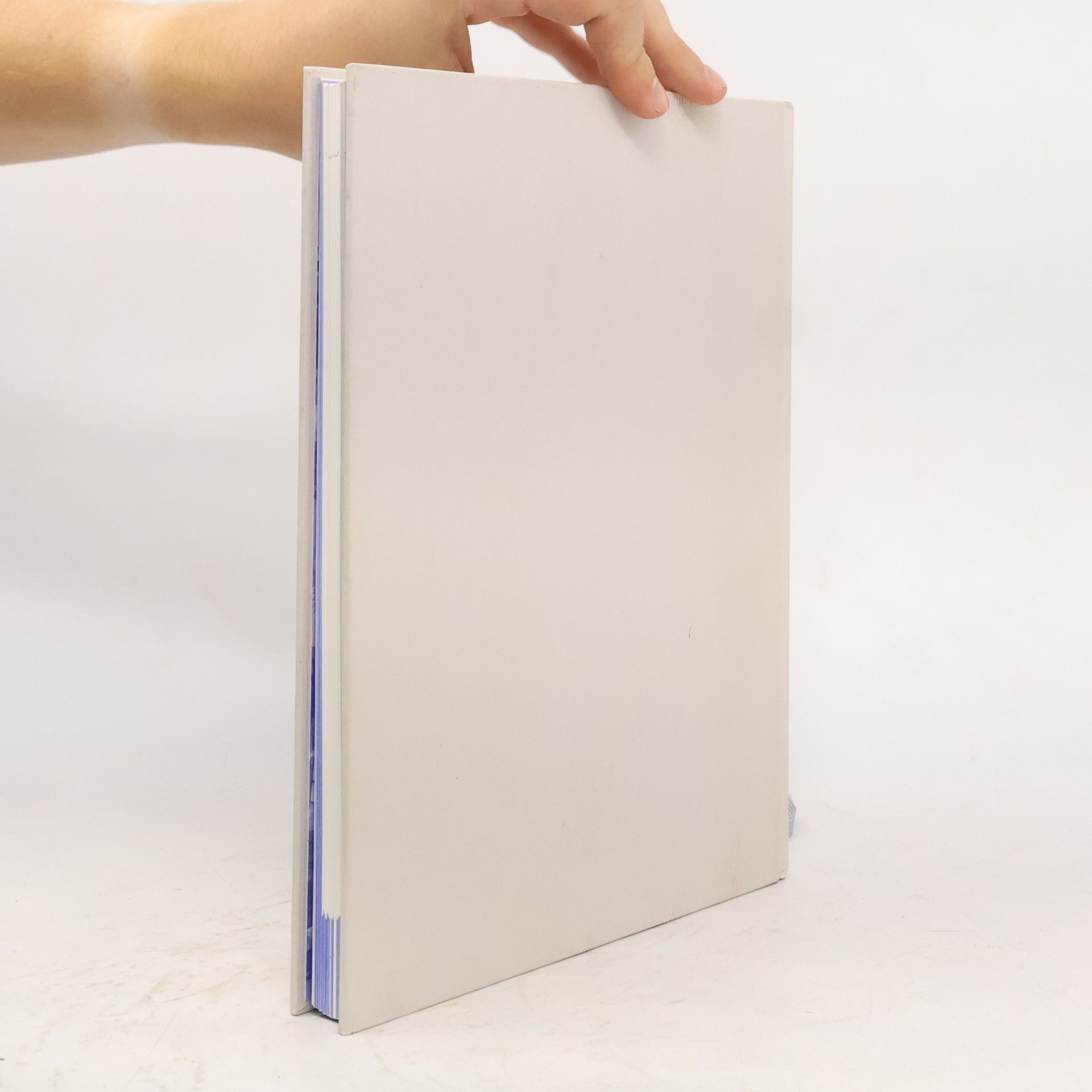 Kolektiv autorů Die Kunst des Buchdruckens