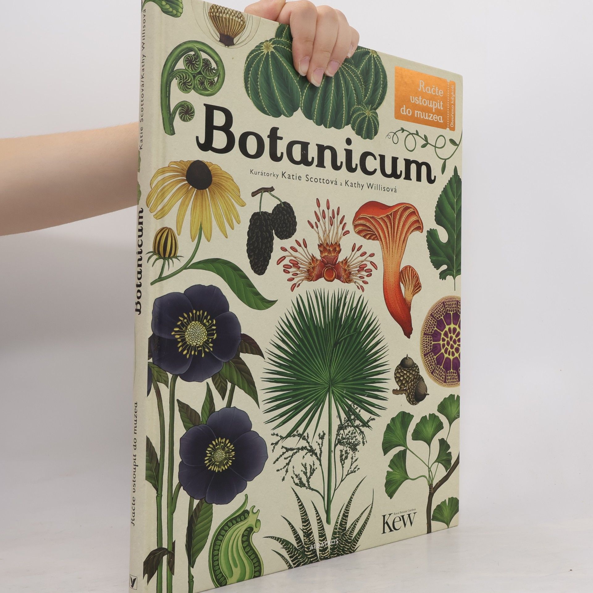 Kathy Willis Botanicum