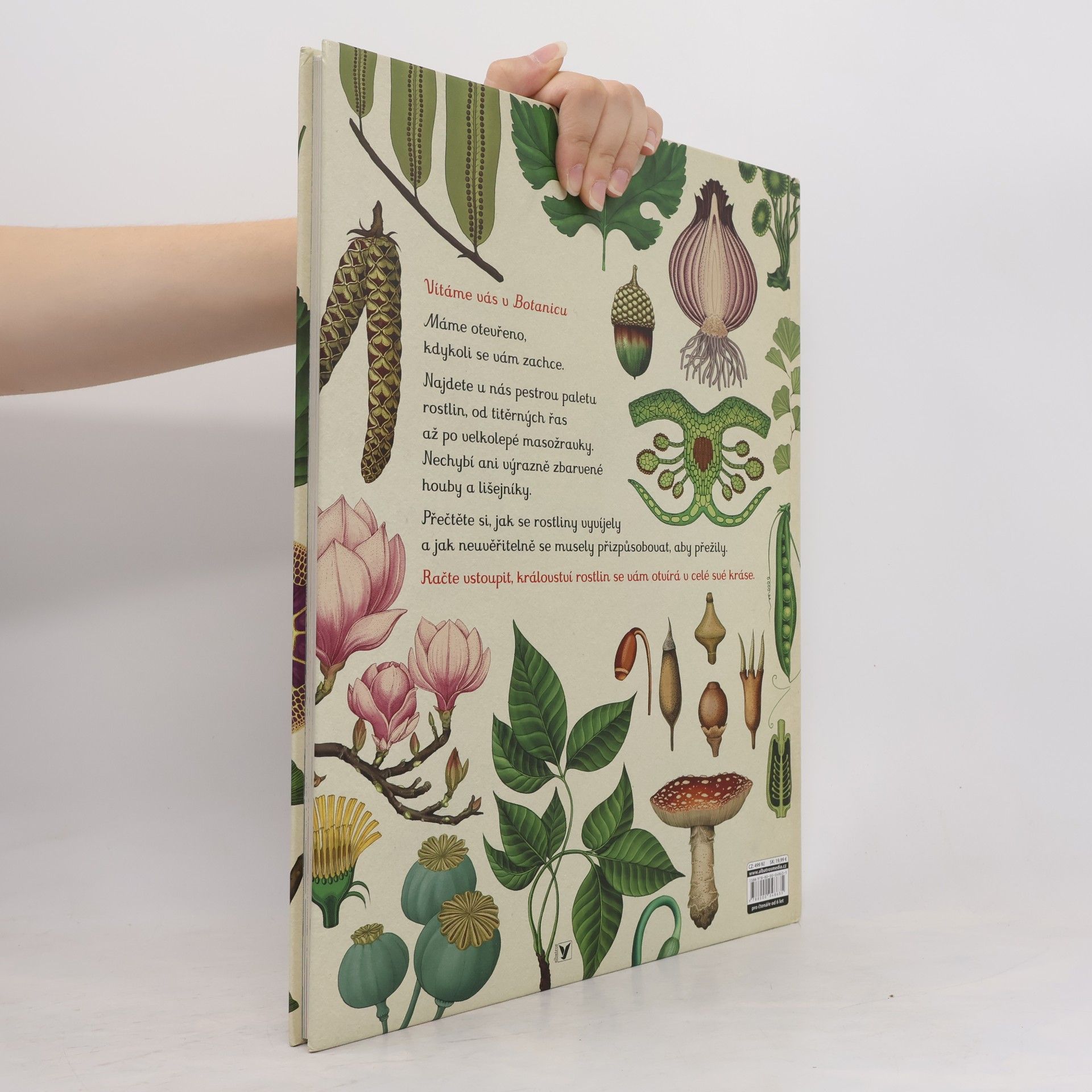 Katie Scott Botanicum
