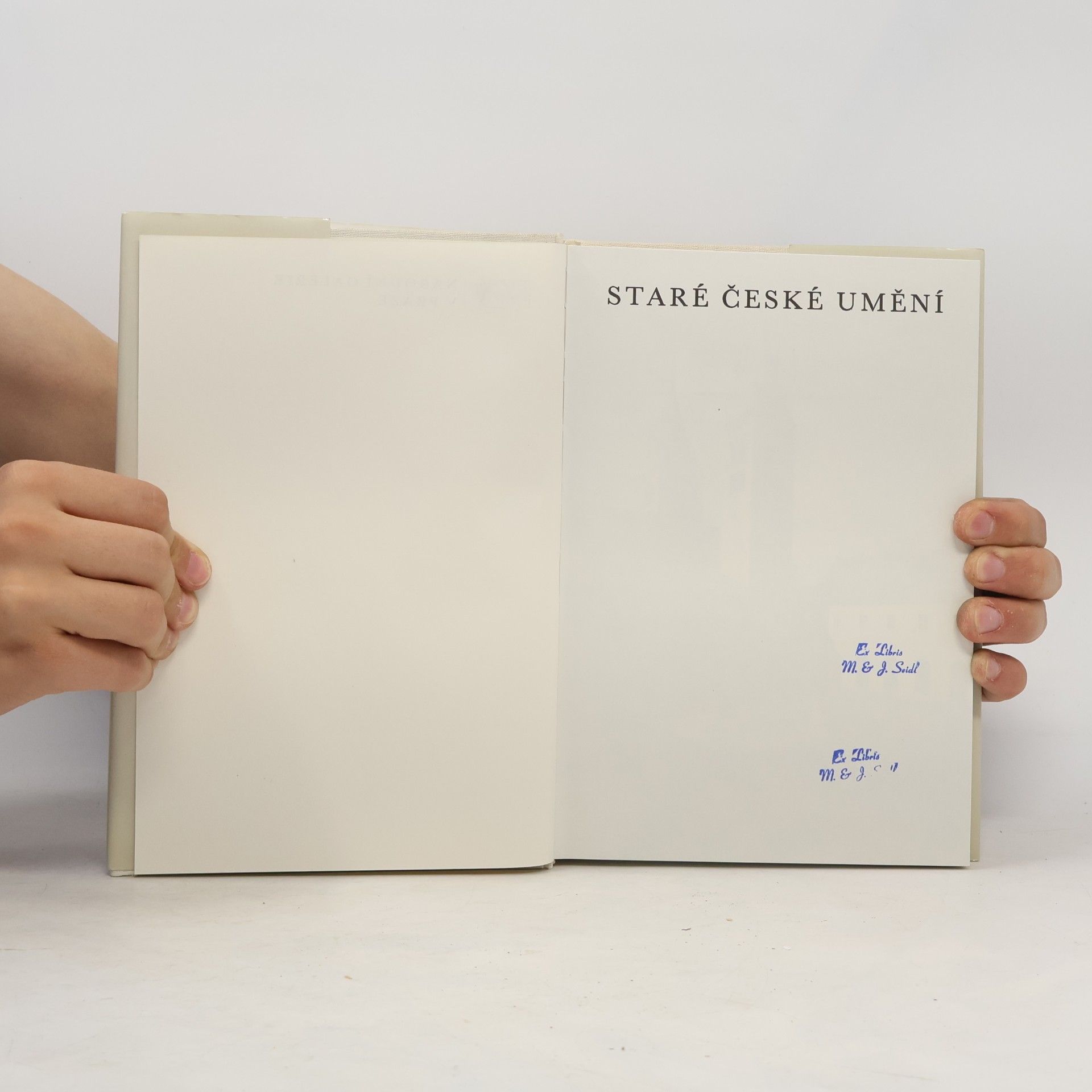 Collectif d'auteurs Staré české umění