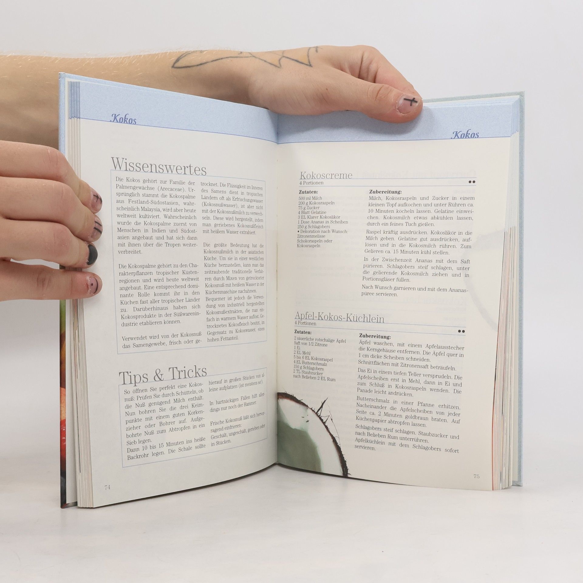 Autorenkollektiv Die leichte Obstküche