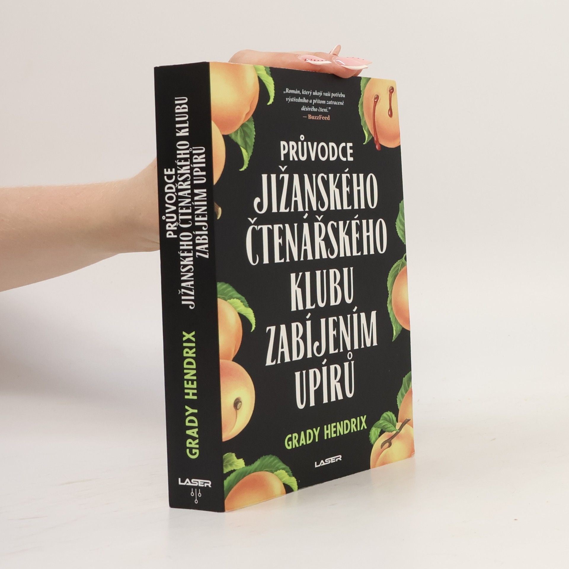 Grady Hendrix Průvodce jižanského čtenářského klubu zabíjením upírů