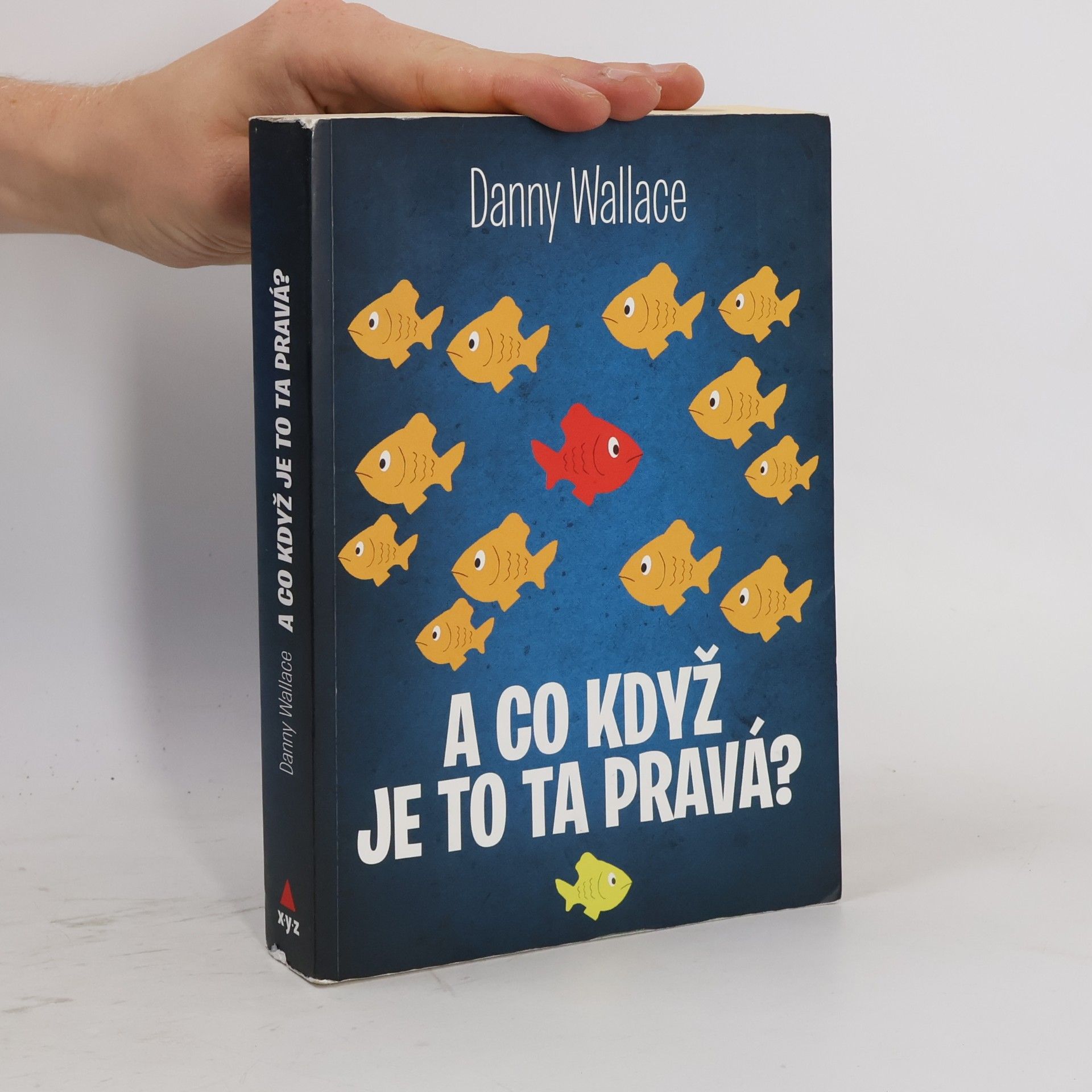 Danny Wallace A co když je to ta pravá?