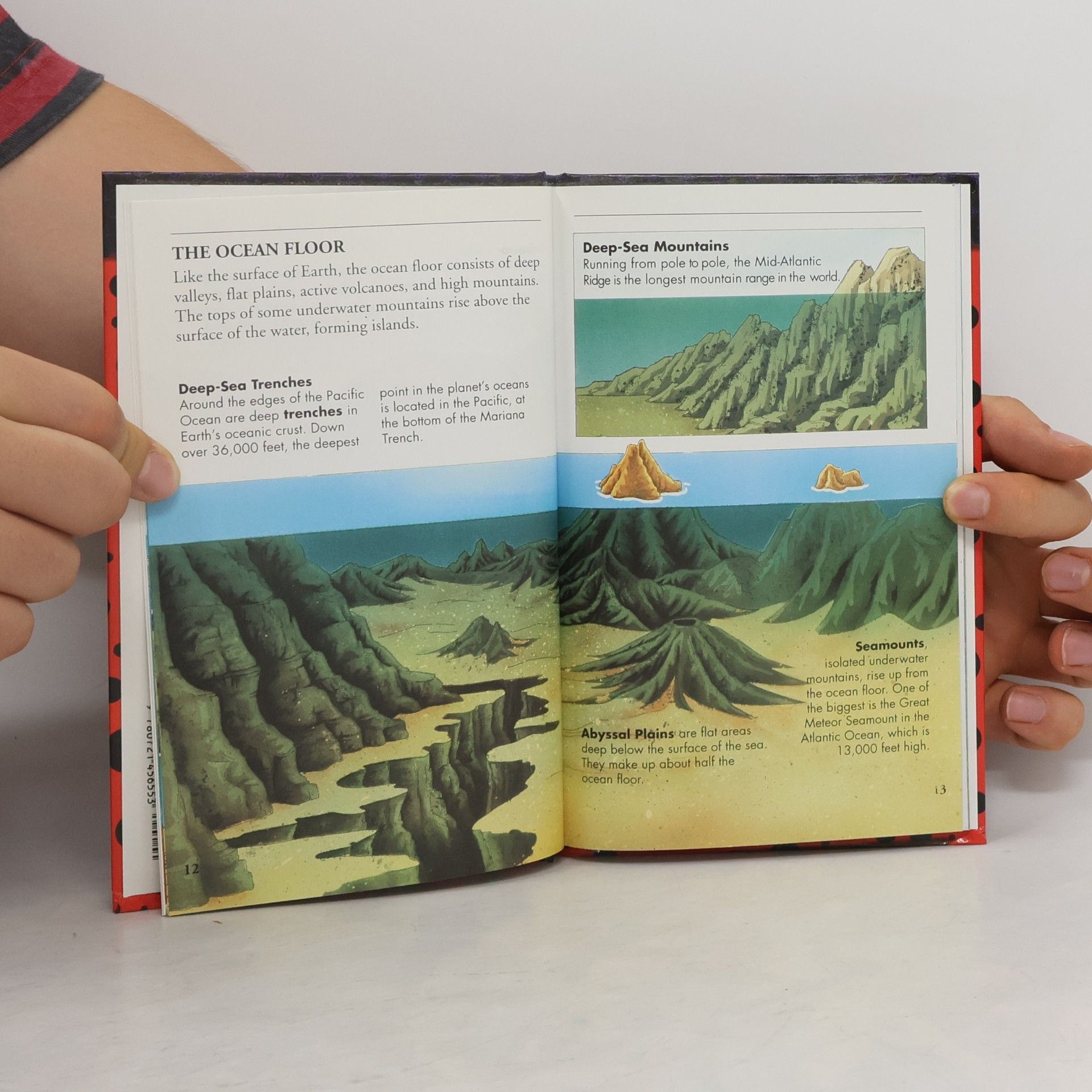 Andrea Posner-Sanchez Ladybird Explorers: Ocean