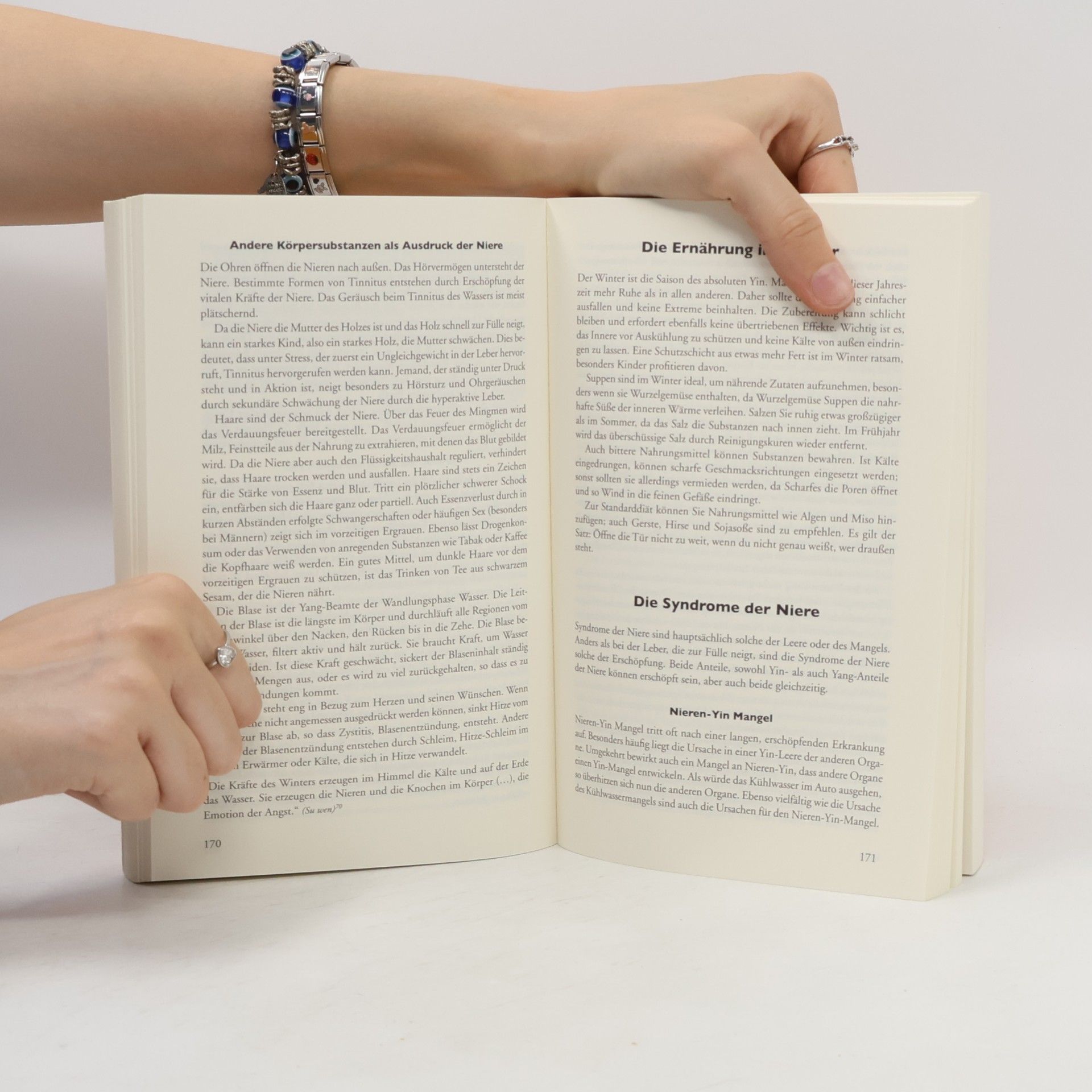 Manuela Heider de Jahnsen Das große Handbuch der chinesischen Ernährungslehre