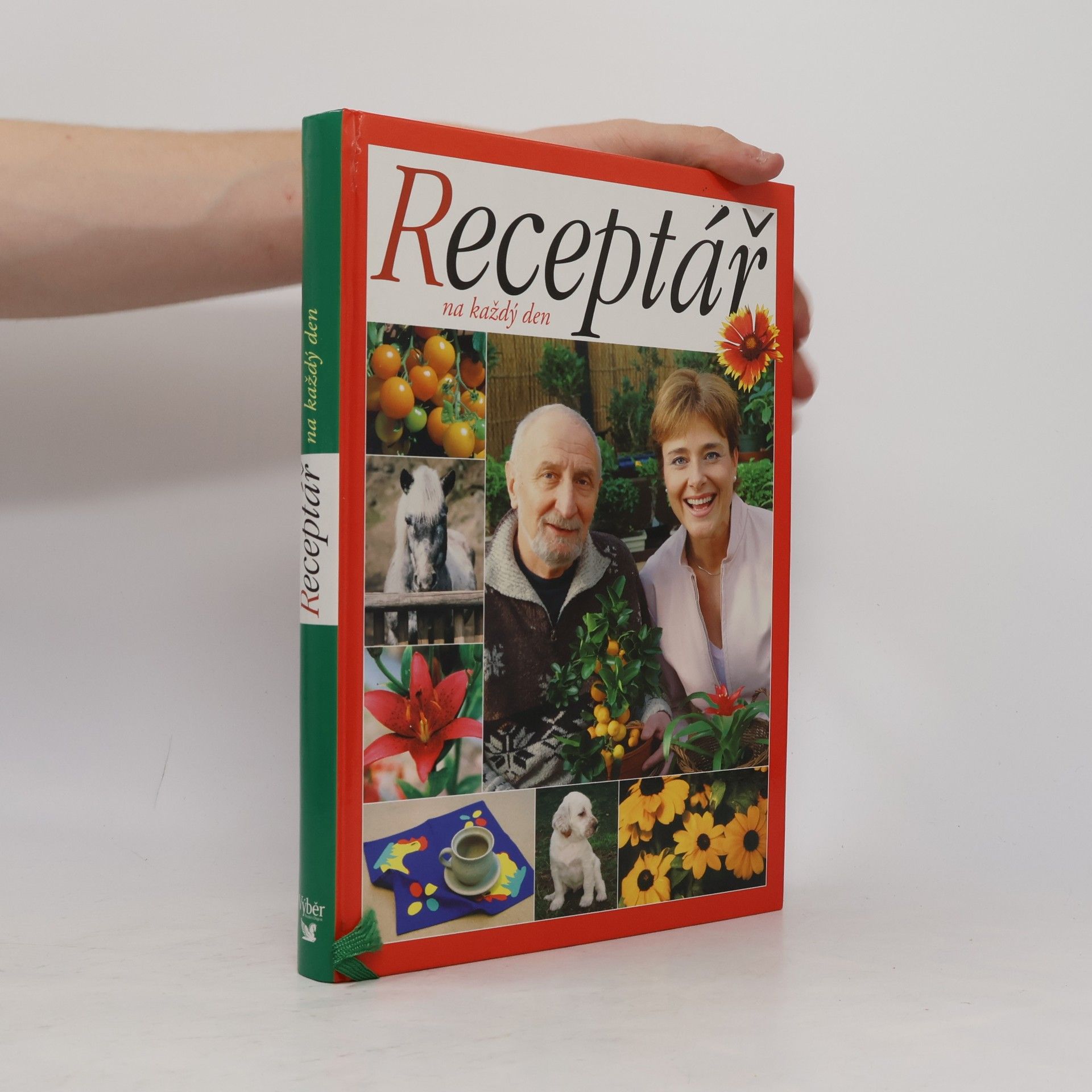 Autorenkollektiv Receptář na každý den