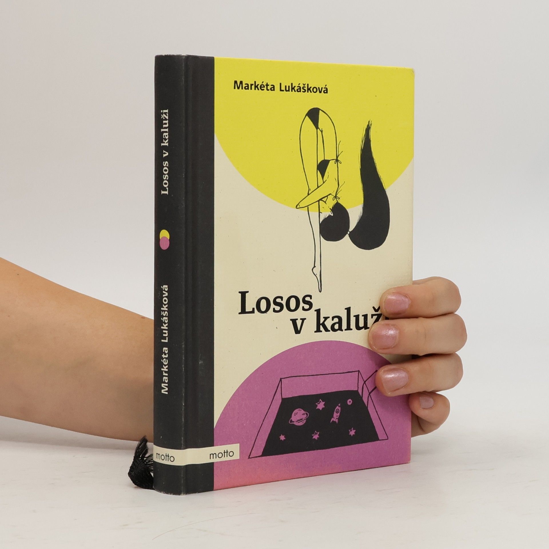 Markéta Lukášková Losos v kaluži