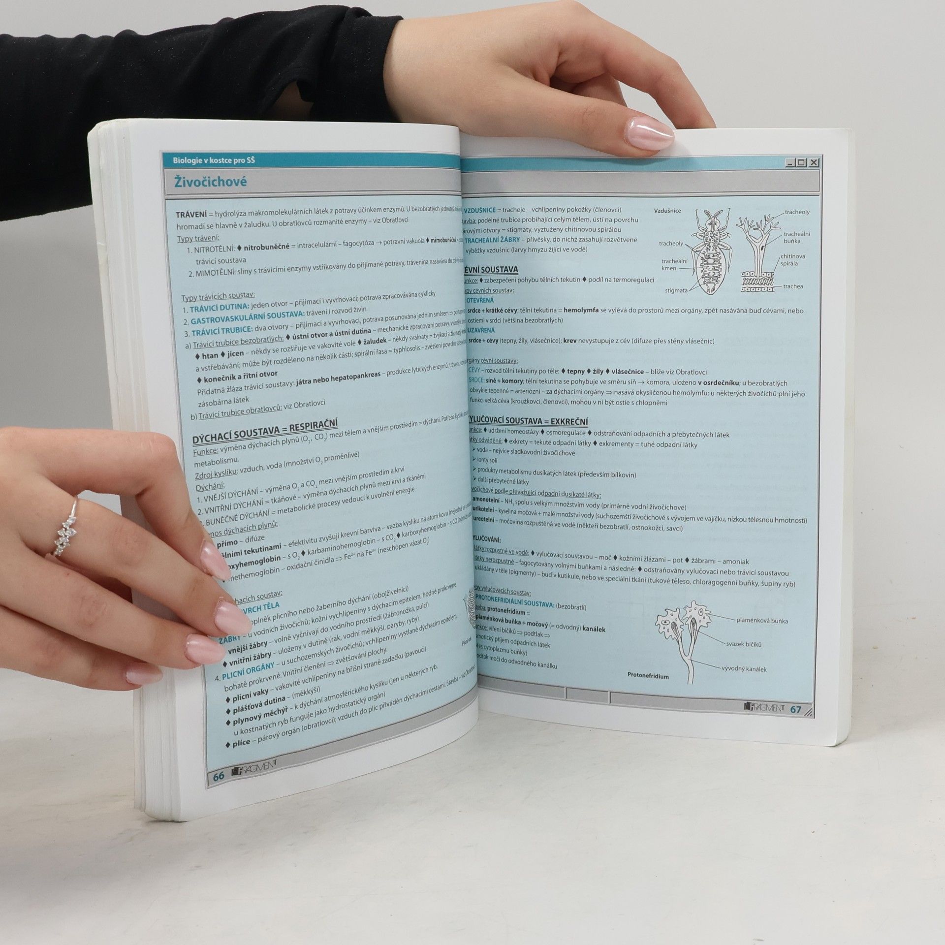Hana Hančová Biologie v kostce : pro střední školy