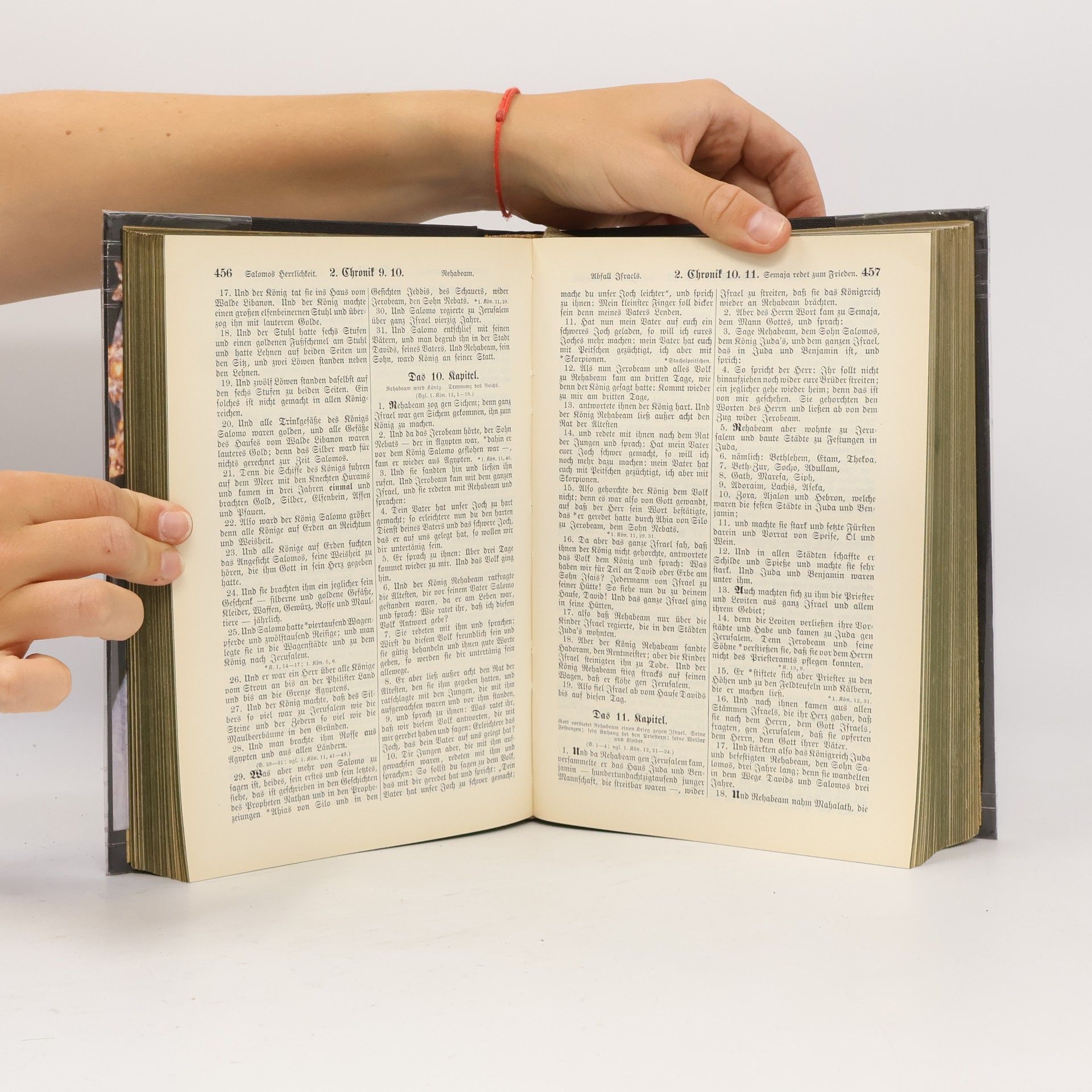 Martin Luther Die Bibel oder die ganze Heilige Schrift des Alten u. Neuen Testaments