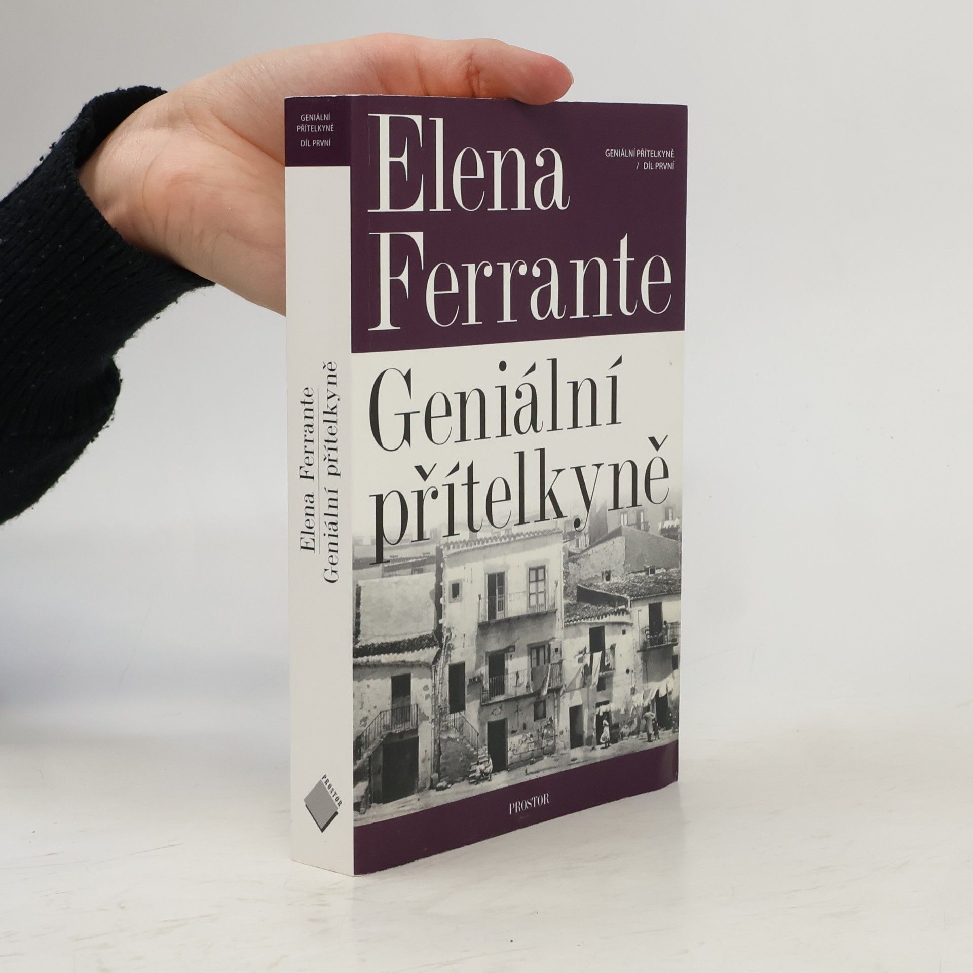 Elena Ferrante Geniální přítelkyně 1. Dětství a dospívání
