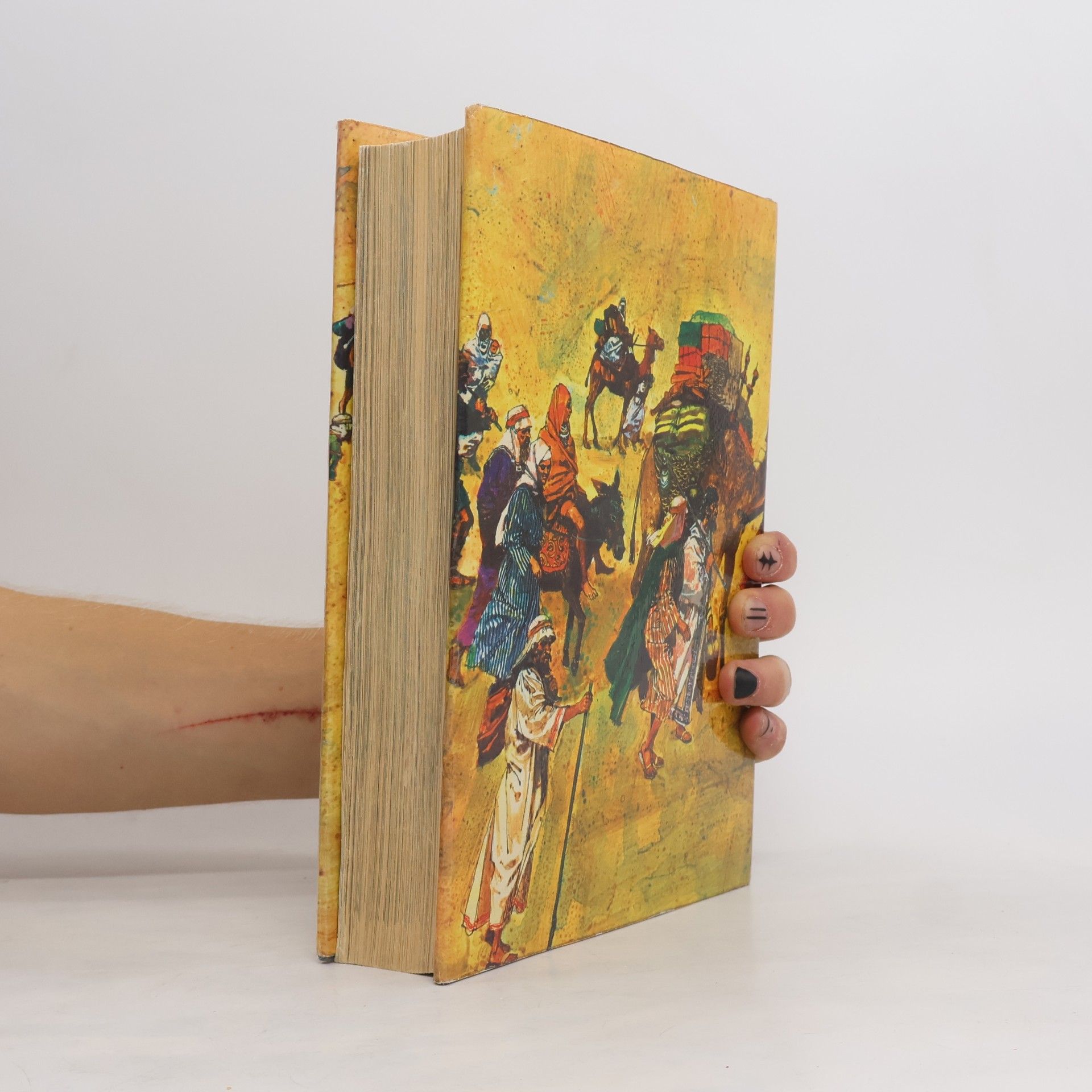 Auteurscollectief The Children's Bible in Colour the Old Testament and the New Testament