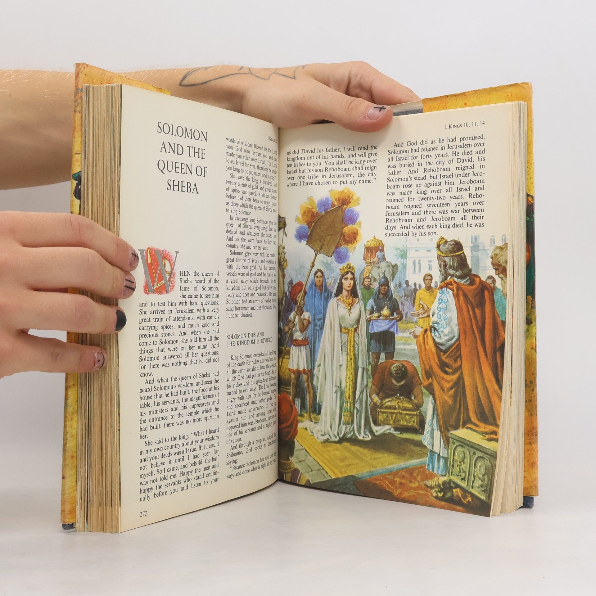 Auteurscollectief The Children's Bible in Colour the Old Testament and the New Testament