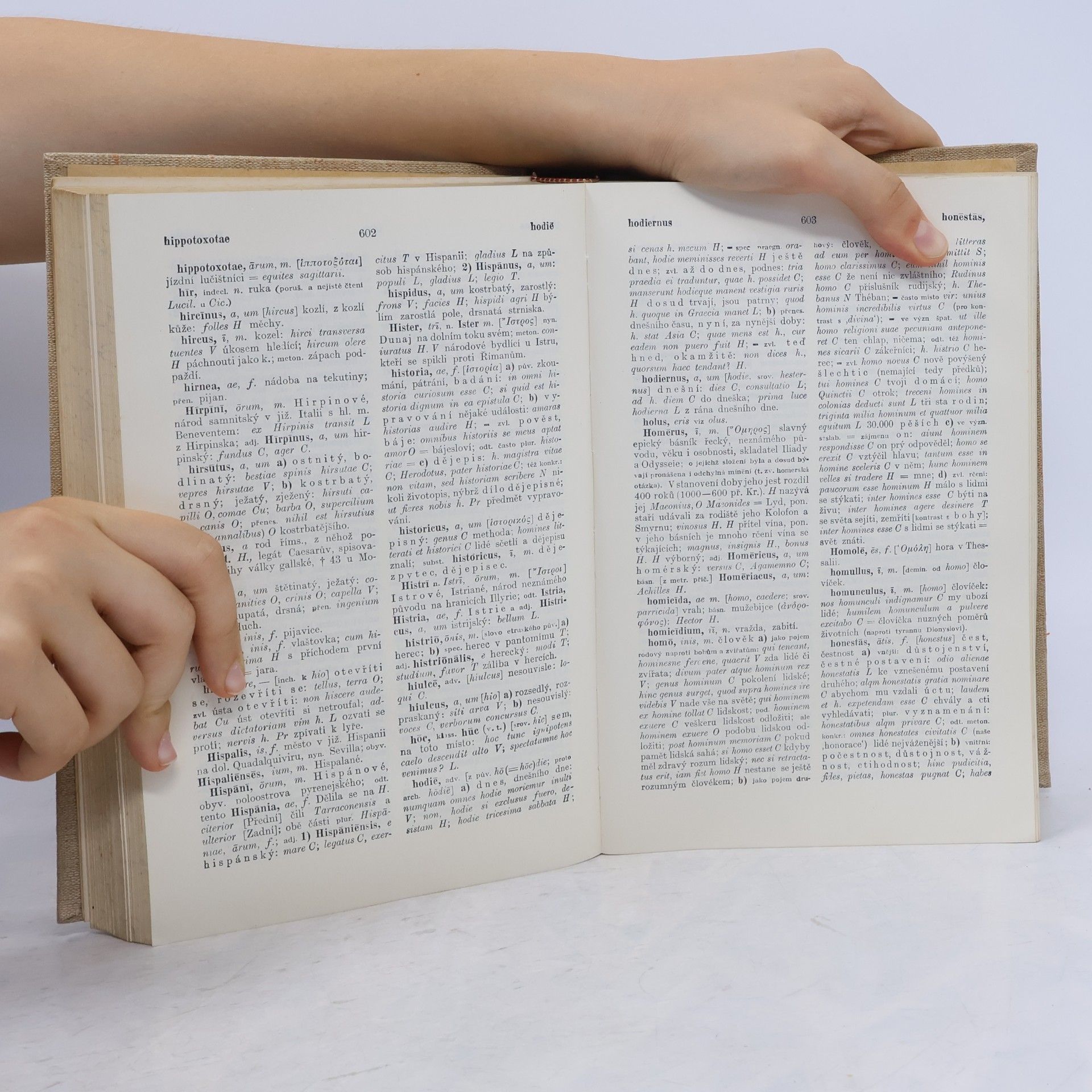 Josef Miroslav Pražák Latinsko-český slovník k potřebě gymnasií a reálných gymnasií