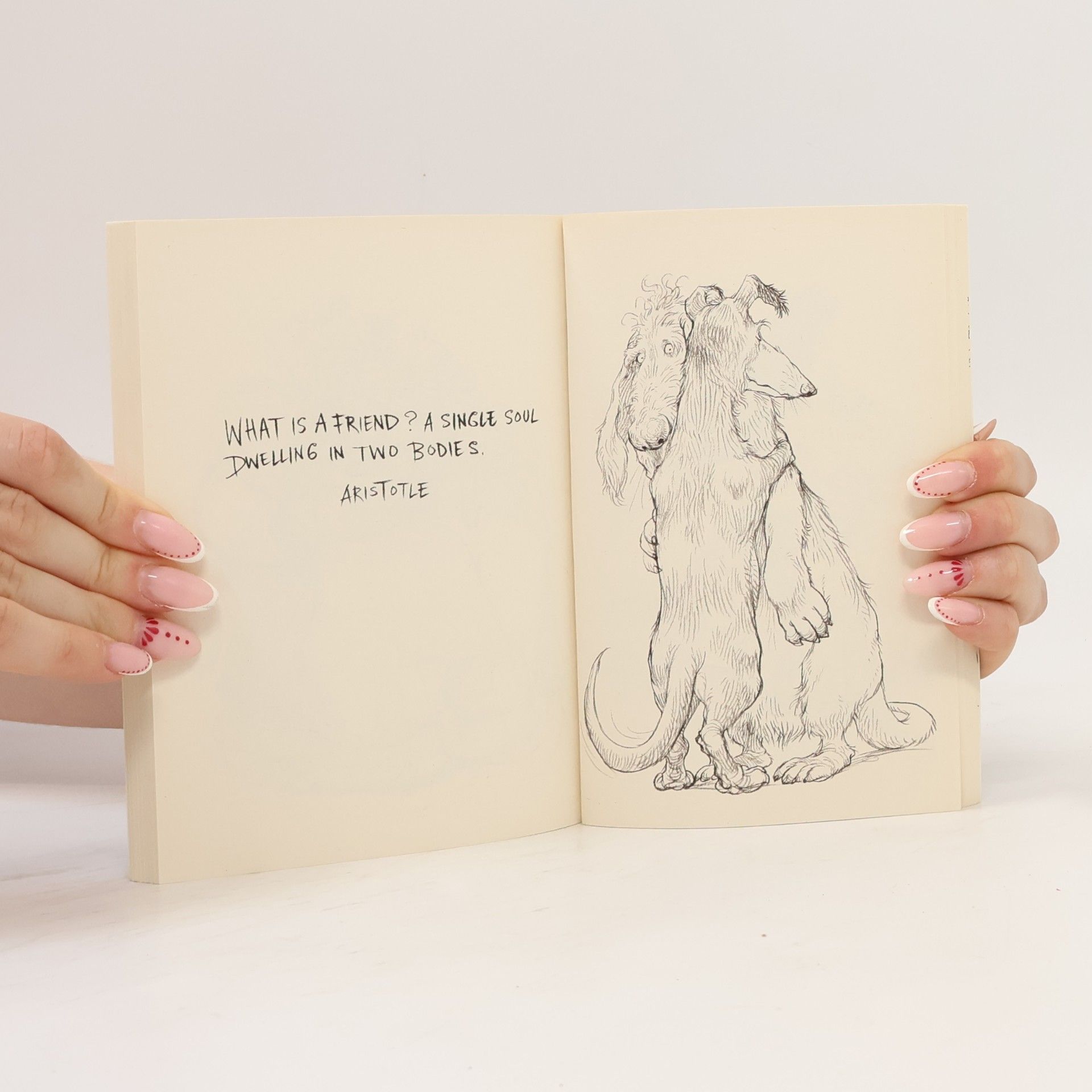 Chris Riddell 100 hugs