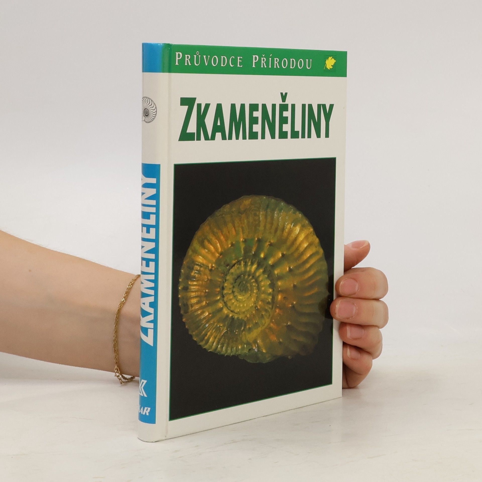 Gerhard Lichter Zkameněliny