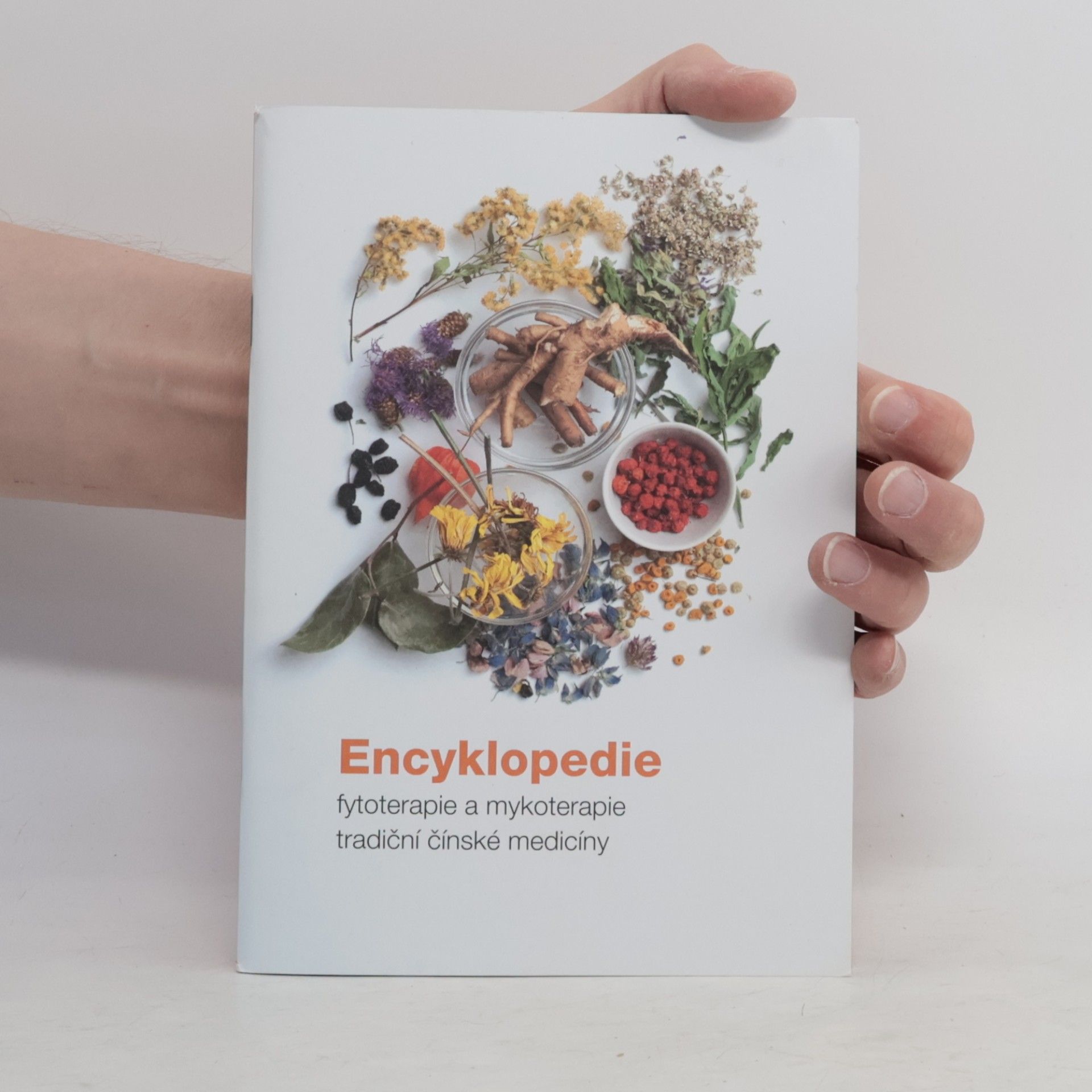Autorenkollektiv Encyklopedie fytoterapie a mykoterapie tradiční čínské medicíny