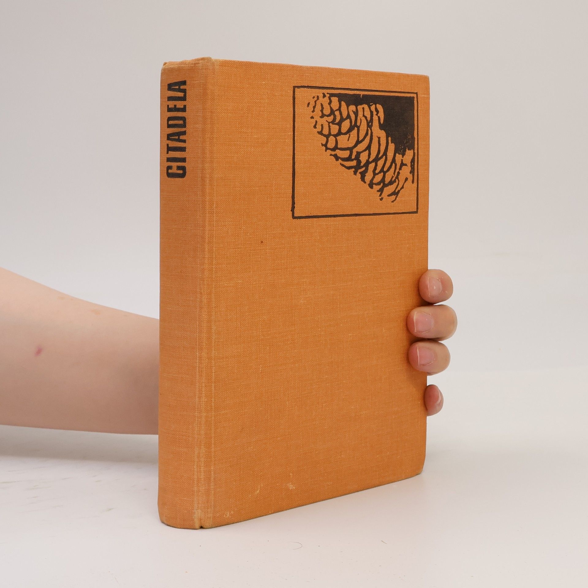 A. J. Cronin Citadela