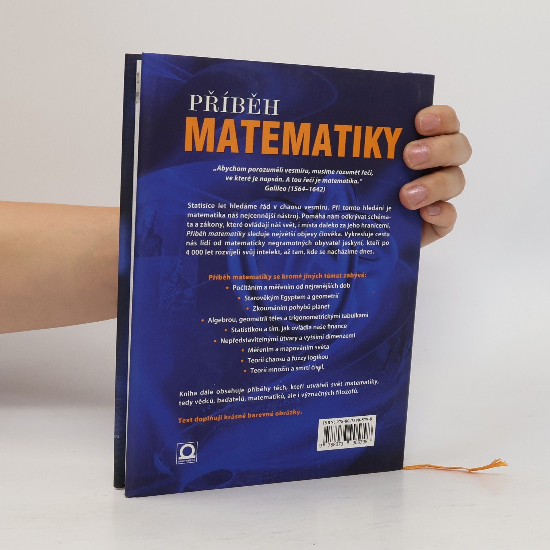 Anne Rooney Příběh matematiky - od projektování pyramid po objevení nekonečna